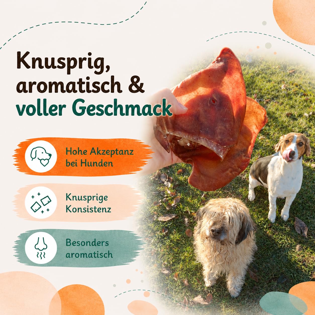 Orecchie di maiale per cani da 1 kg - XXL essiccati, 100% naturale, senza additivi, articolo da masticare per cani piccoli e grandi
