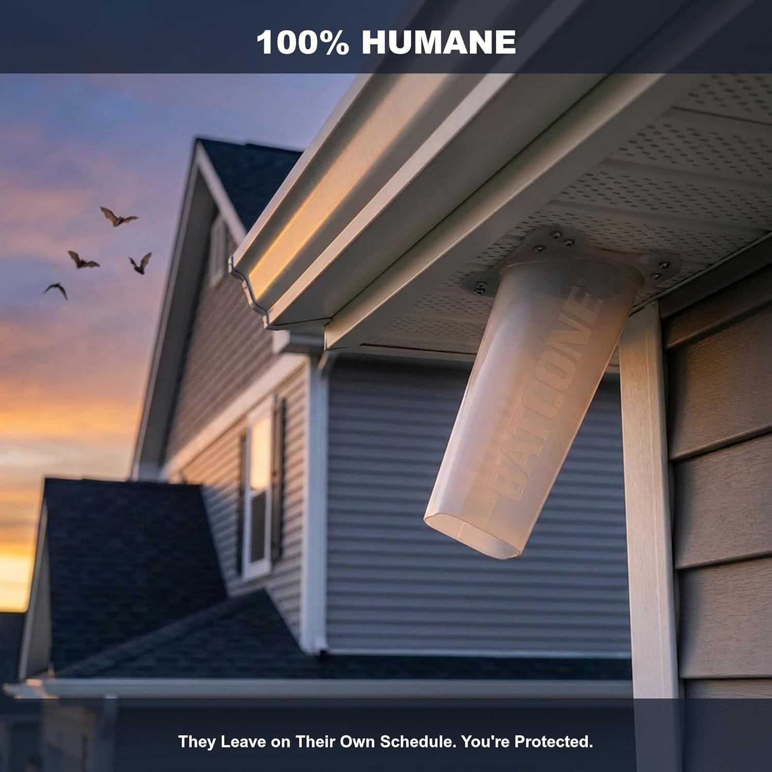 WCS Bat Cone II One-Way Bat Excluder - 6" Reusable Polyethylene Exit Cone for Attics, Soffits & Rooflines - Humane Bat Removal, Bats Exit But Cannot Return - Professional Wildlife Control