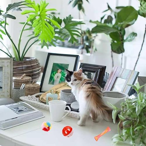Miniatura 7 de 46 piezas de juguetes para gatos de interior, juguetes de gatito con juguete de primavera para gato, juguetes de menta para gatos con gato arrugado,