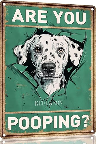 Miniatura 10 de Letrero de hojalata divertido con texto en inglés "Saint Bernard Dog Are You Pooping" para decoración de pared de baño, inodoro, 12 x 8 pulgadas