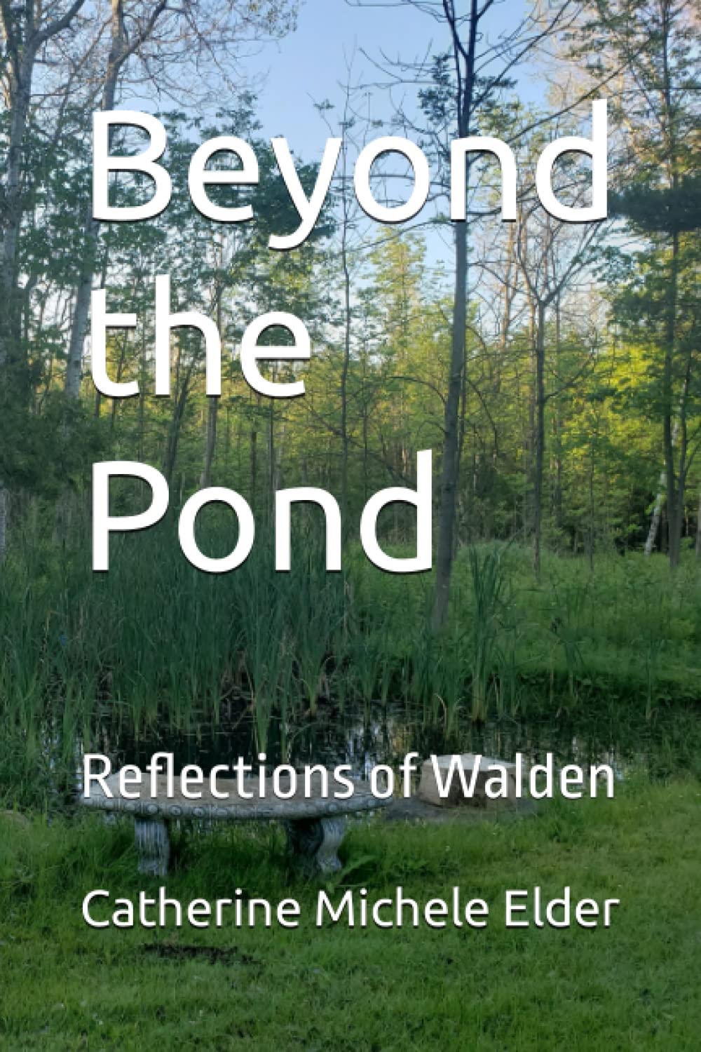 Beyond the Pond: Reflections of Walden