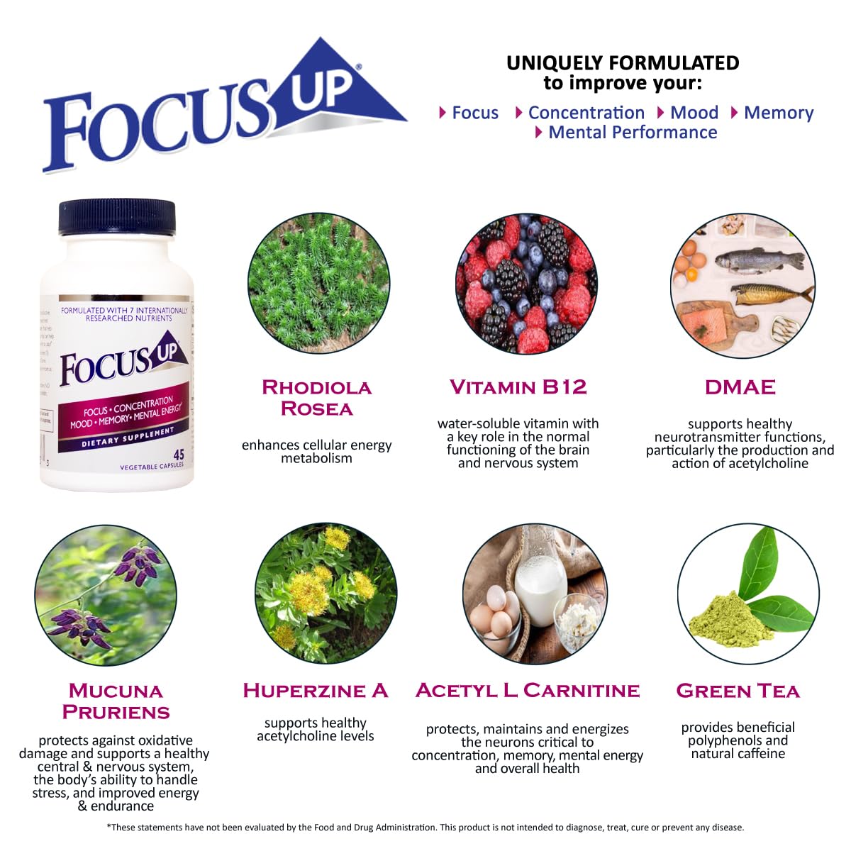acetyl l carnitine vs dmae FocusUP Brain & Energy Support Supplement – Natural Nootropic Capsules with L-Carnitine, Rhodiola, & Huperzine-A | Supports Focus, Memory, Mood & Mental Clarity Product Type_Targeted Treatment