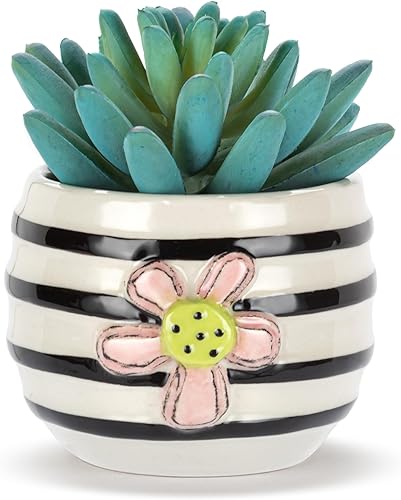 Vista 18 de DEMDACO Heartful Home by Tracy Pesche Collection Mini suculentas falsas corazones rojos lunares negros 2 x 1.5 gres decorativo para decoración