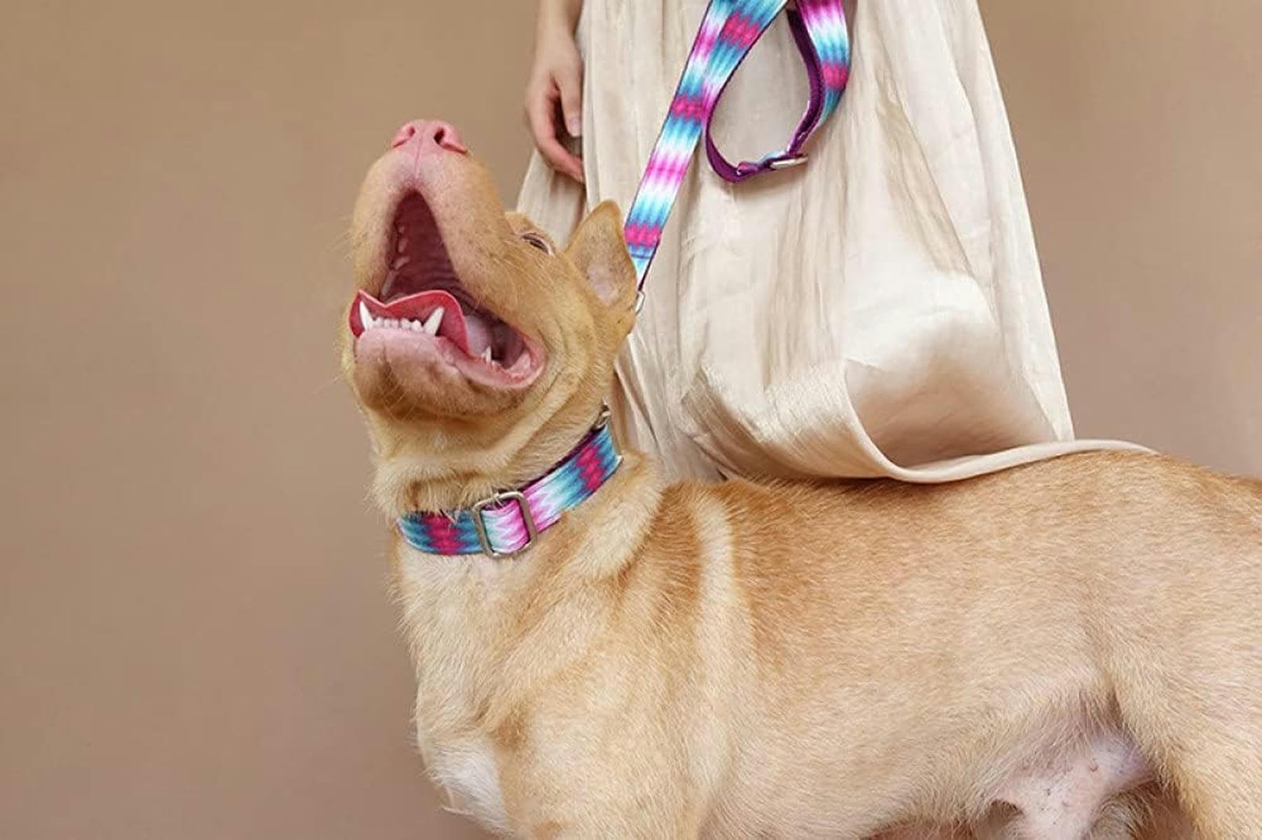 gestreiftes Hundehalsband 5 Größen-Hundehalsband-Leinen-Set-M