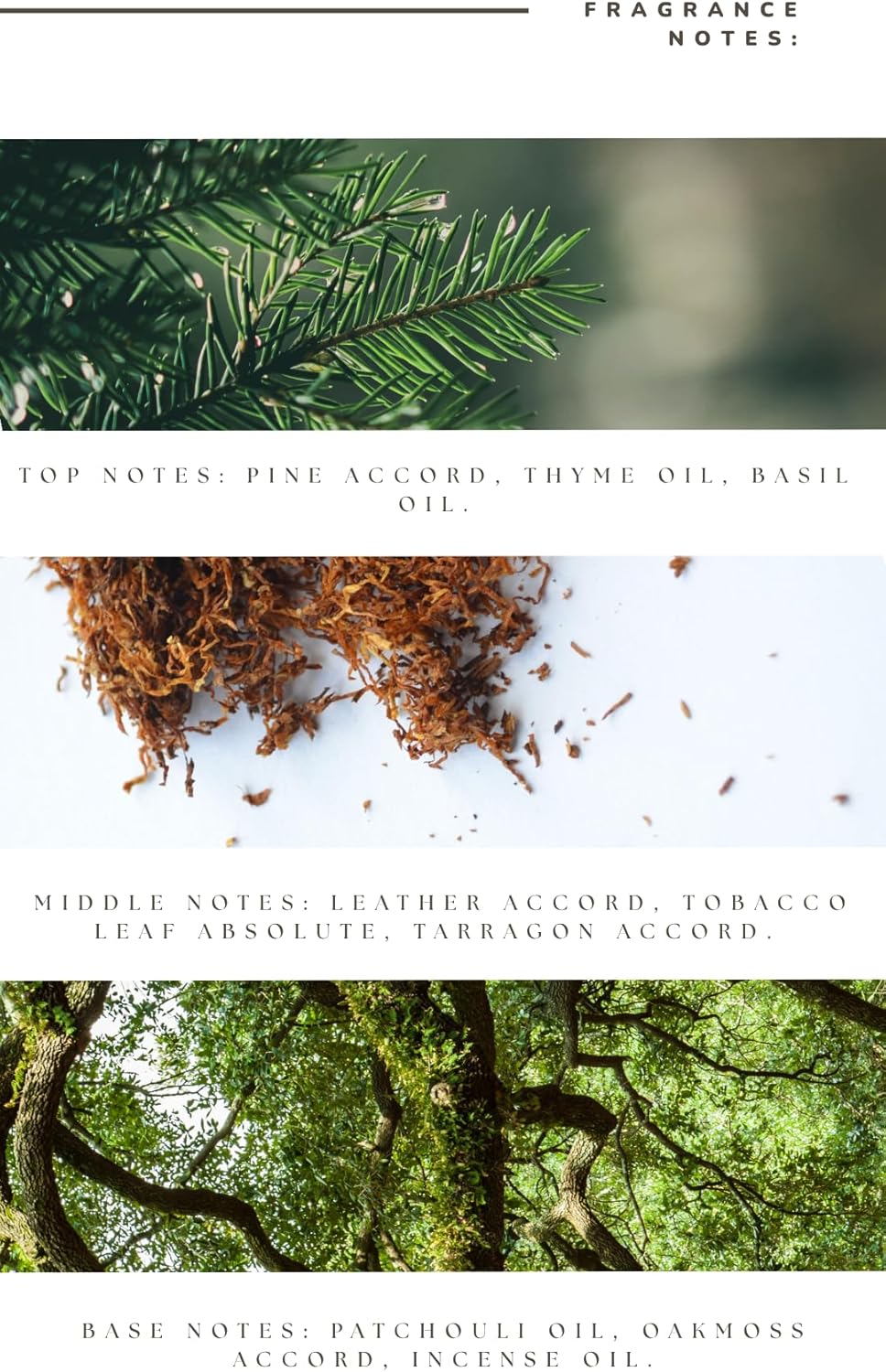 Home Luxury Scents - Hotel Collection Oils- Frosted Pine Essential Oil - 115 ml