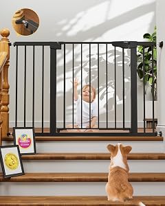 Top-Rated Pressure Mount Gate — Best for Most People