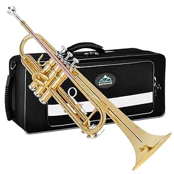 Amazon.com: EASTROCK Bb Trumpet Standard Trumpet Set with