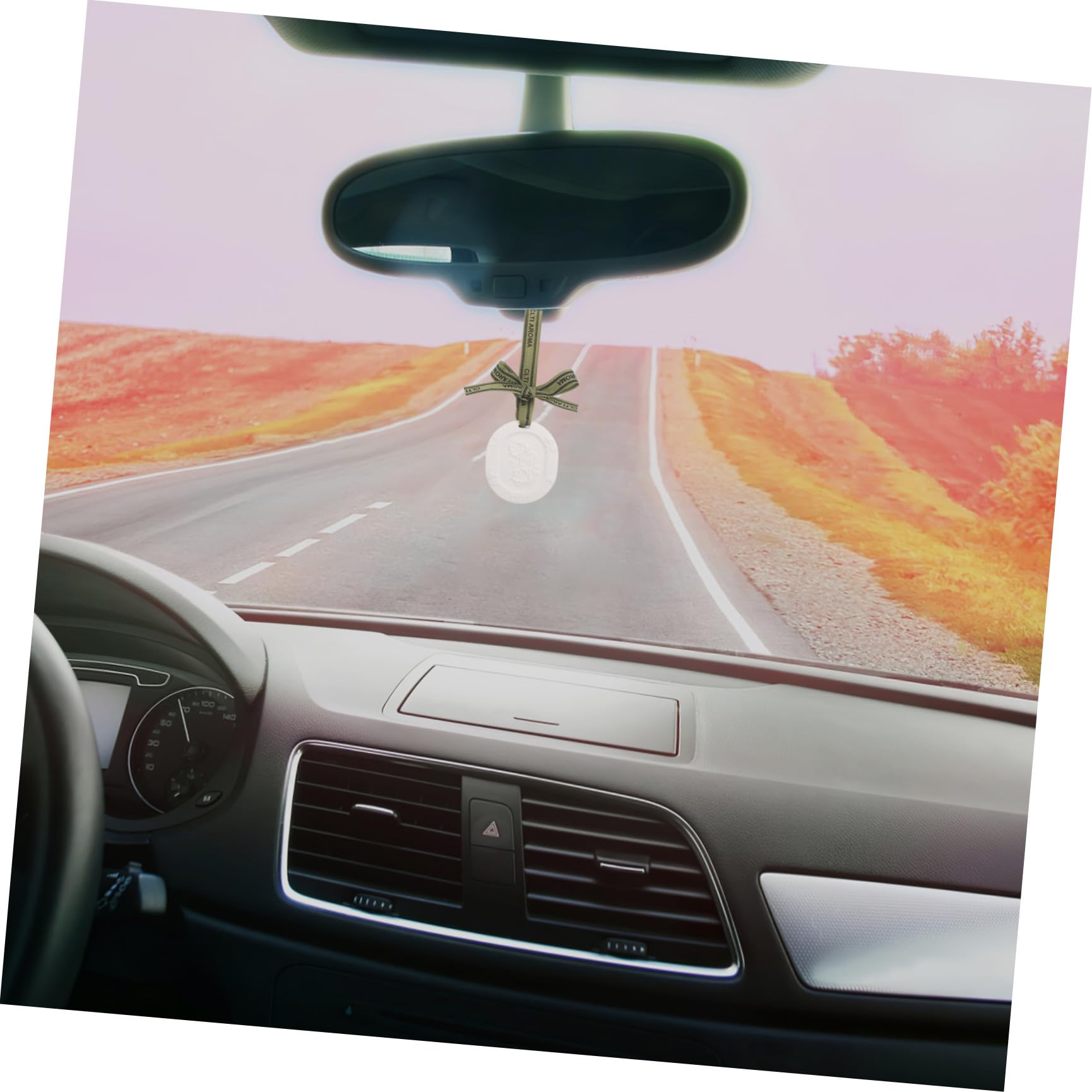 SHINEOFI 10 Pezzi Diffusore di Fragranze per Auto in Gesso con Nastro – Dischi Profumati Passivi per Oli Essenziali – Deodorante Ambienti Portatile per Auto, Guardaroba e Viaggi