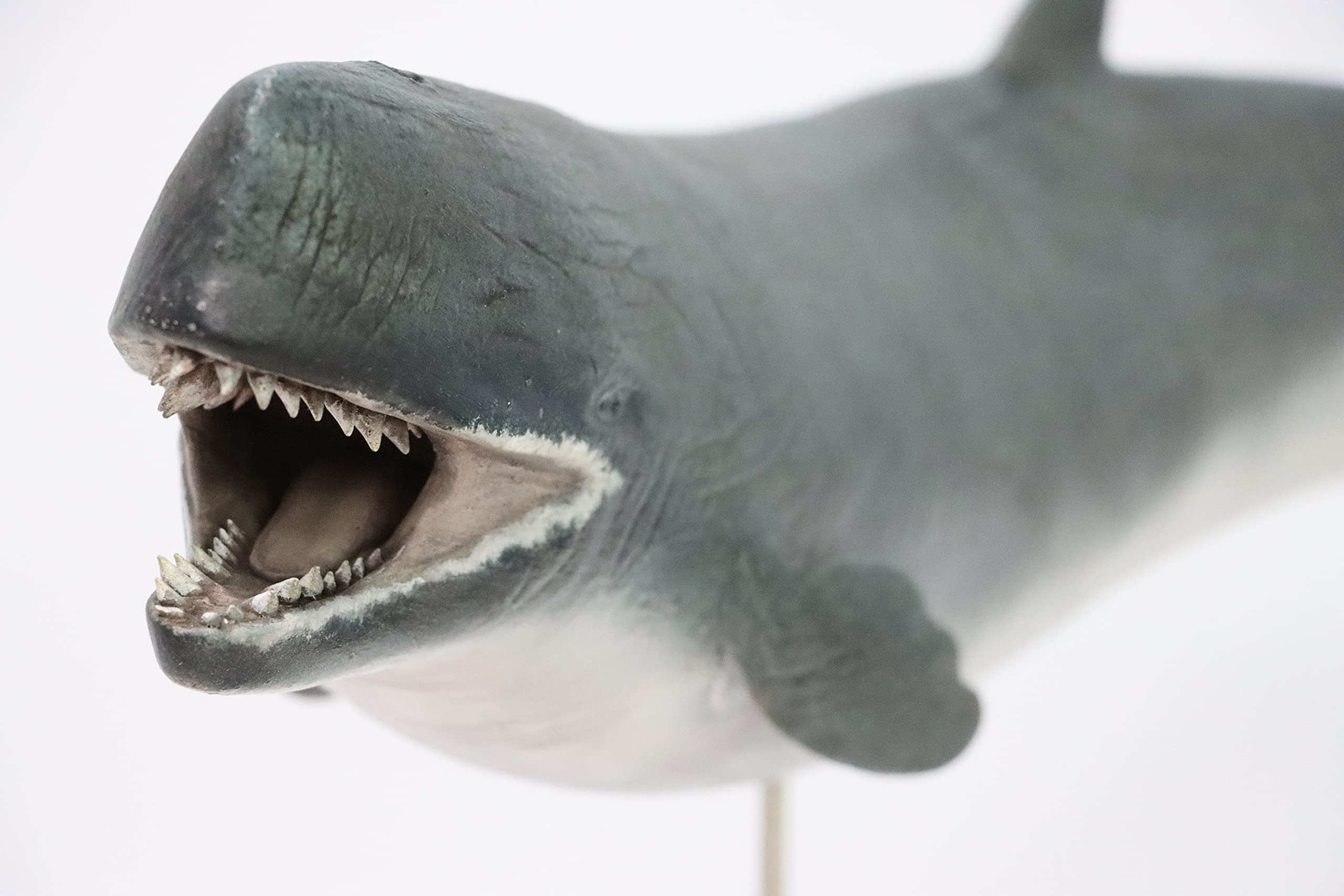 Amazon | Lana Toys Rheic Studio 1/35 リヴィアタン メルヴィレイ 像