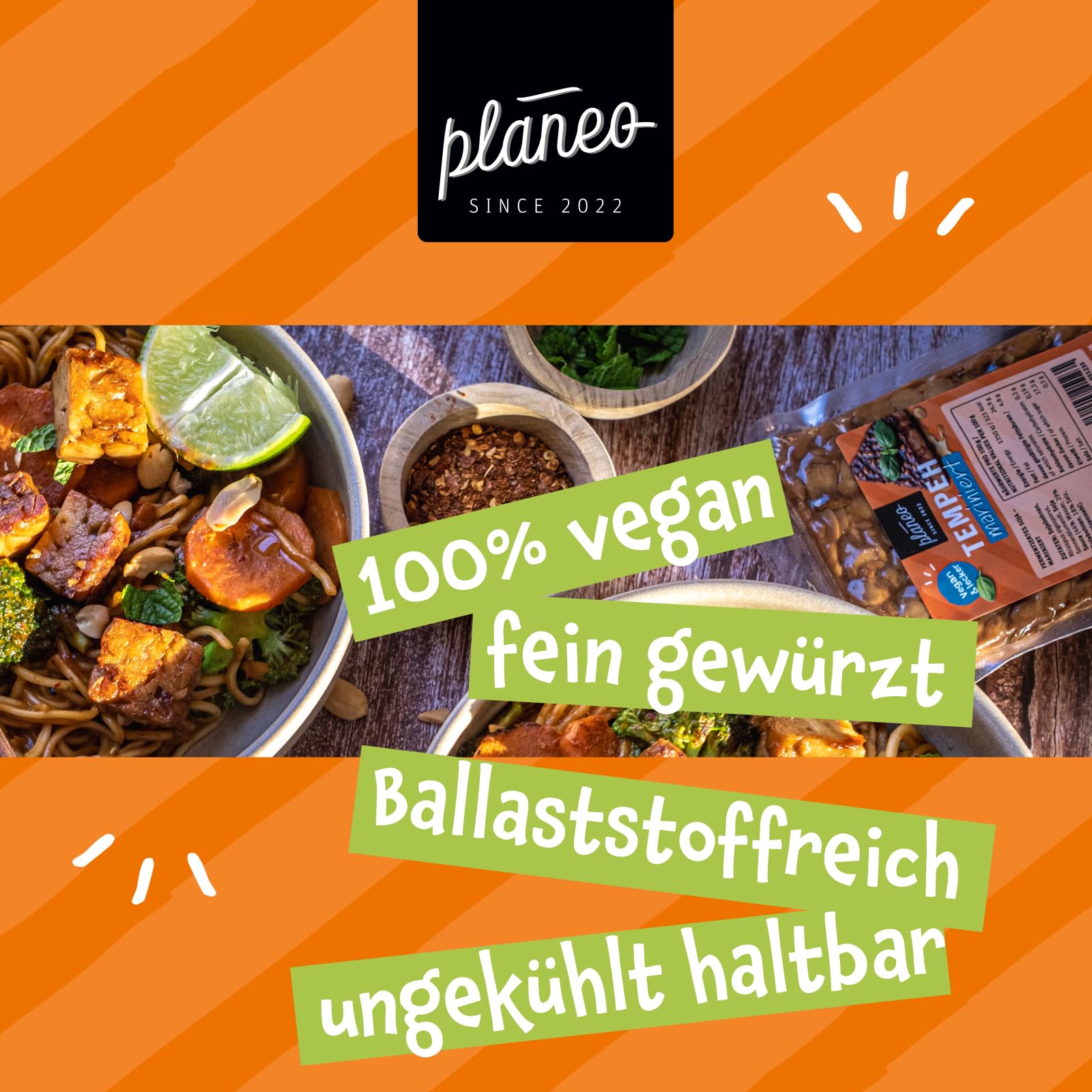 Planeo Tempeh Marninert 3x200g - Beste Qualität - Lange, ungekühlt haltbar - fein gewürzt - Soja aus der EU - Planeo (3 x 200g)