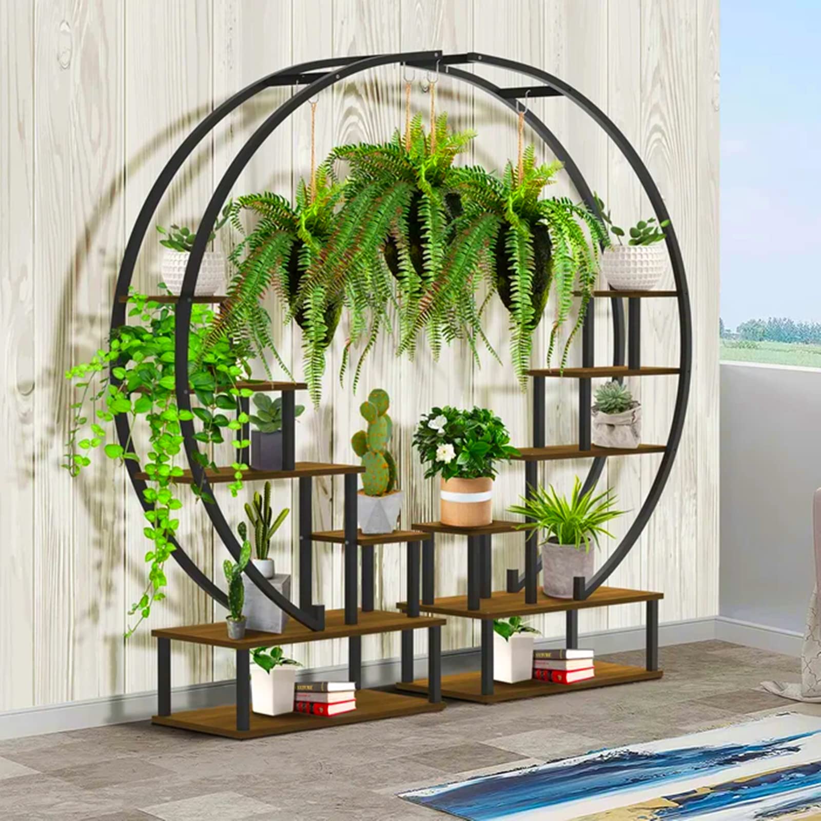 https://m.media-amazon.com/images/I/71C37-GdYuL.jpg
