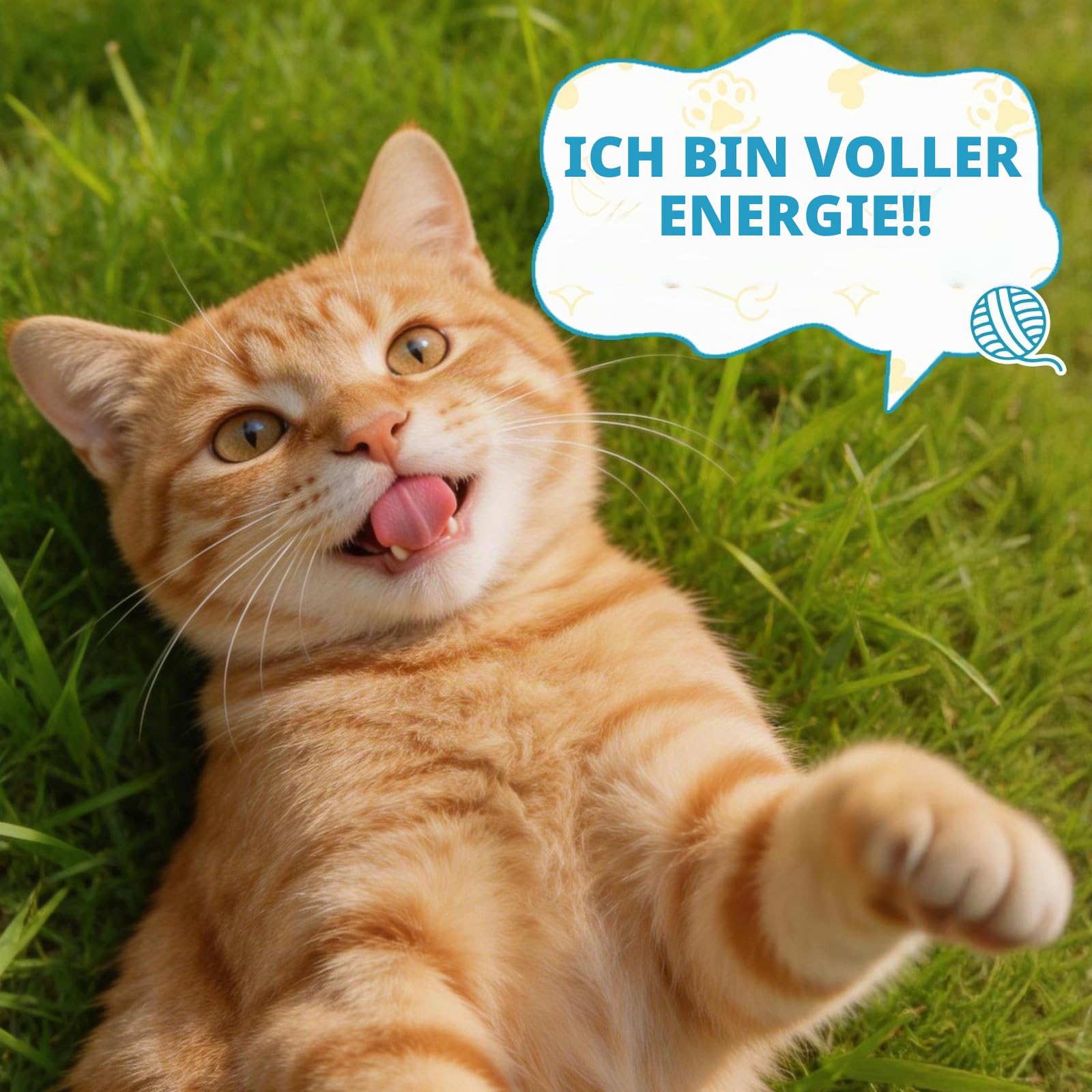Taurin für Katzen Tropfen - Taurin Ergänzungsmittel für Katzen Unterstützt Felina Herz & Immunfunktion, Sehkraft, Energie & Vitalität L-Carnitin, L-Carnitin, Coenzym Q10, Omega3, L-Arginin, Vitamin | L-Carnitin, L-Arginin, Coenzym Q10, Vitamin, Taurin-Flü