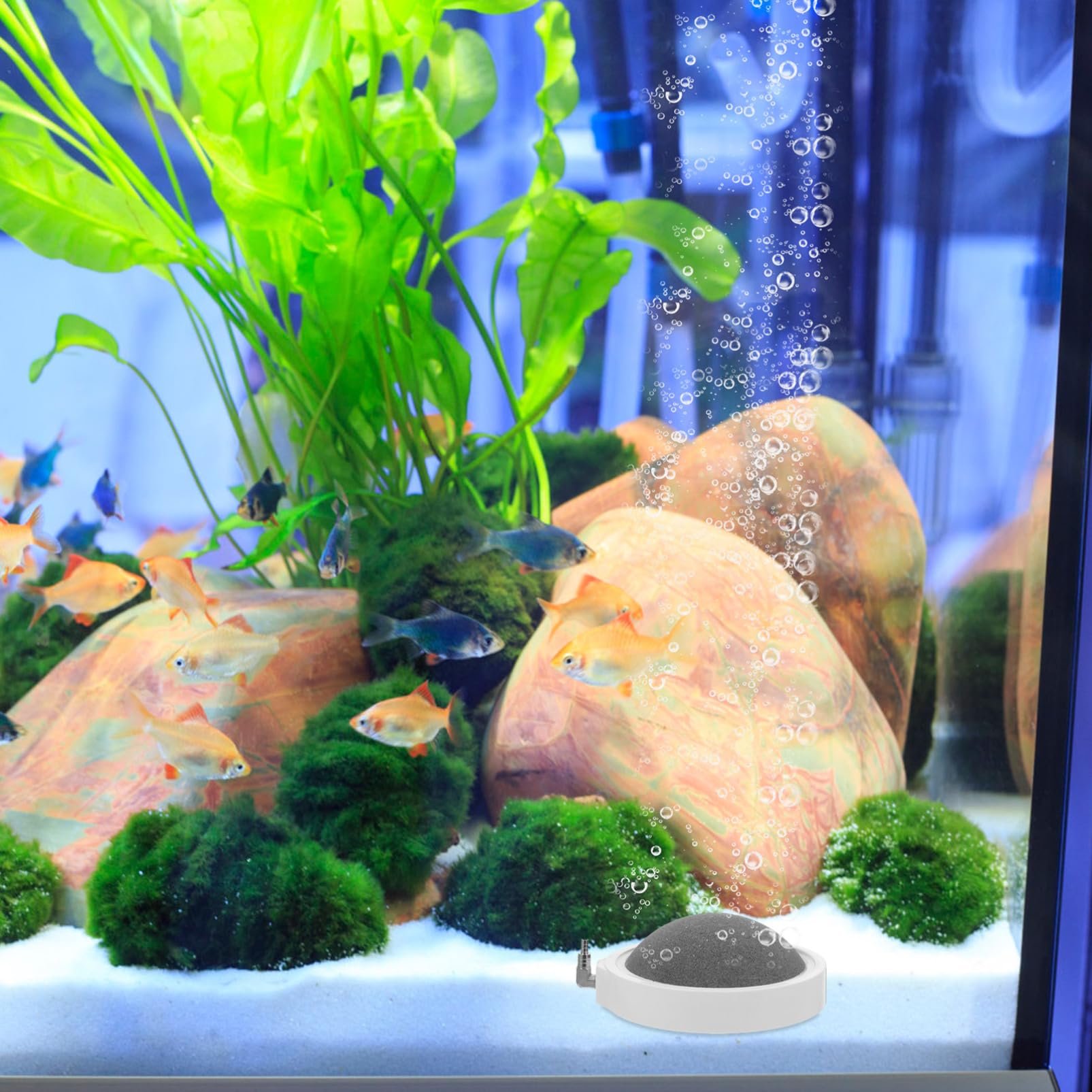 Happyyami 2piezas Aireador De Acuario Piedra De Aire Silenciosa Disco De Oxigenación para Peceras Suministro De Tanque De Peces Aumenta La Circulación De Agua