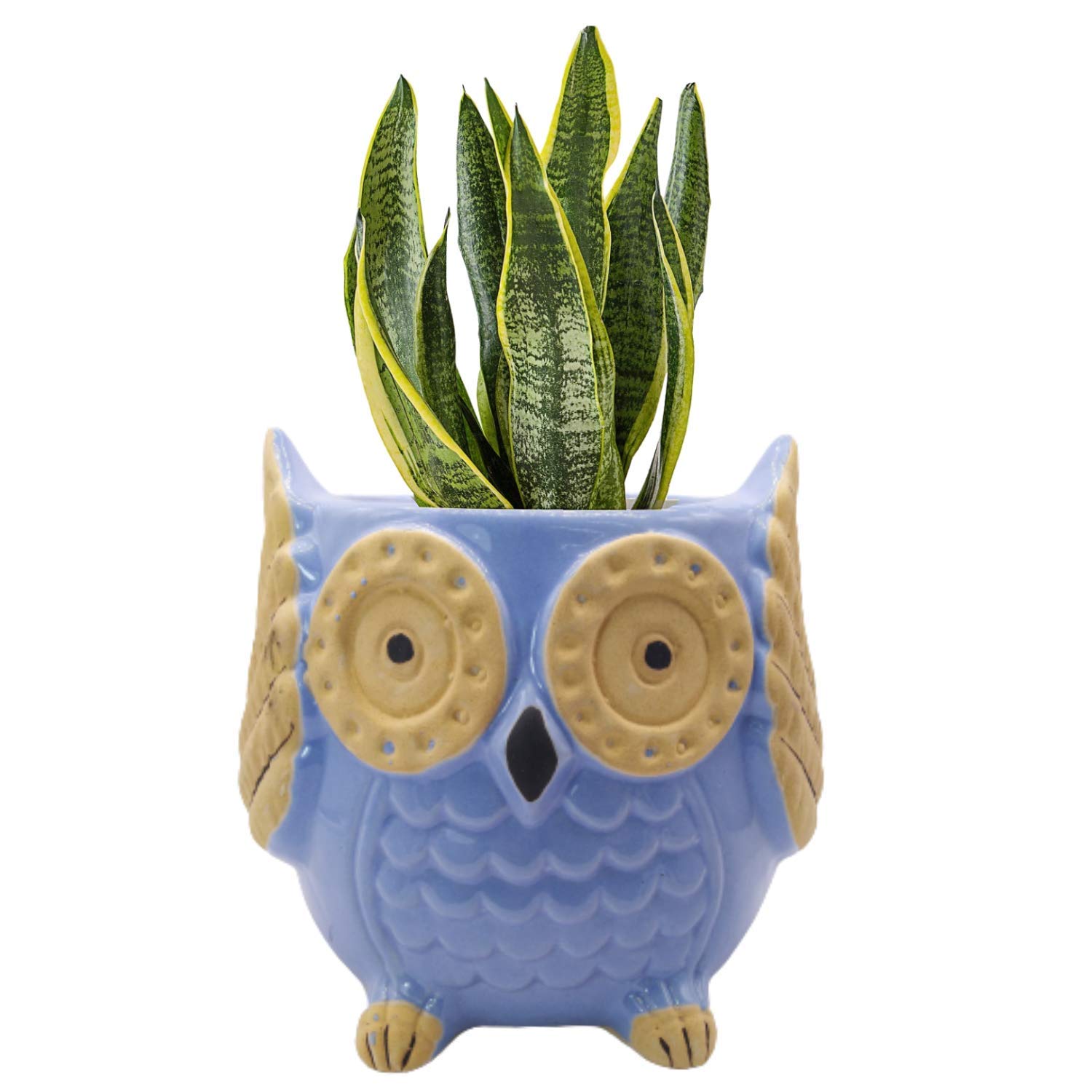 India Meets India Owl Shaped Ceramic Flower Pot Planter Pot Indoor Outdoor Planter Handicraft by Awarded Indian Artisan (Sky Blue, H-5.5 x D-4.5 Inch) (B08XXYGBT5) Amazon Price History, Amazon Price Tracker