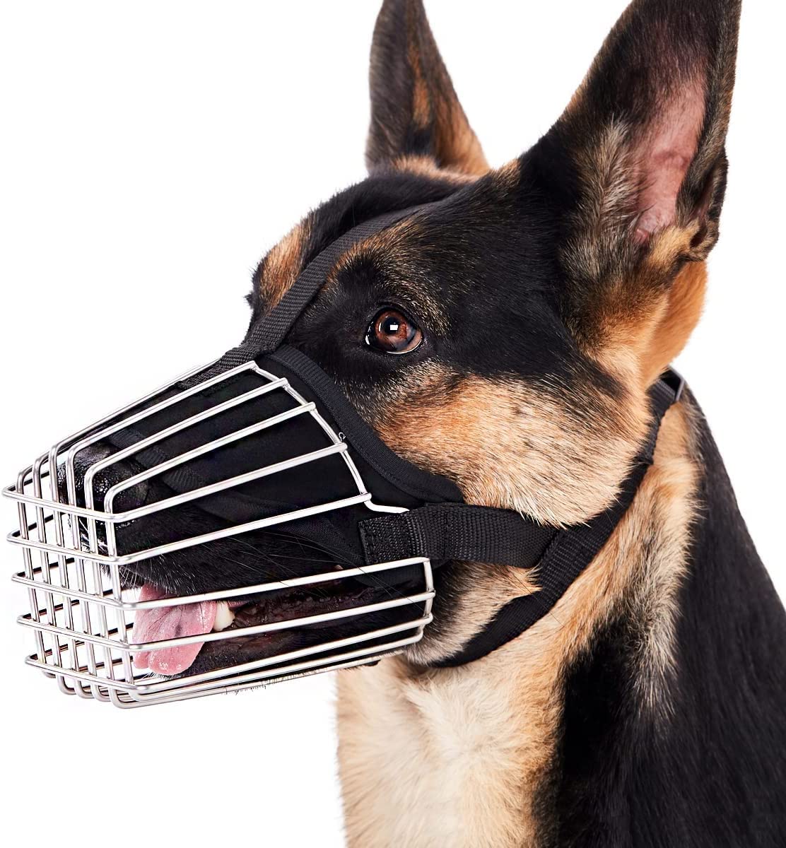 Top Paw Basket Muzzle atelieryuwa.ciao.jp