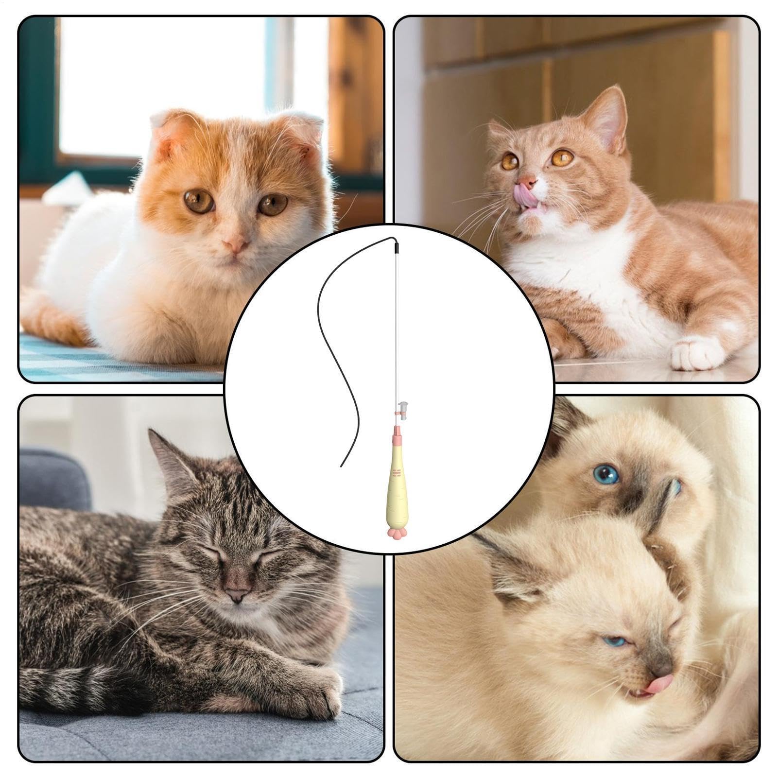 Genérico Juguete con Vara para Gatos Juguete de Estimulación con Luz | Mango con Forma de Zanahoria para en Casa, Salón o Apartamento: Fomenta Actividad, Previene Aburrimiento