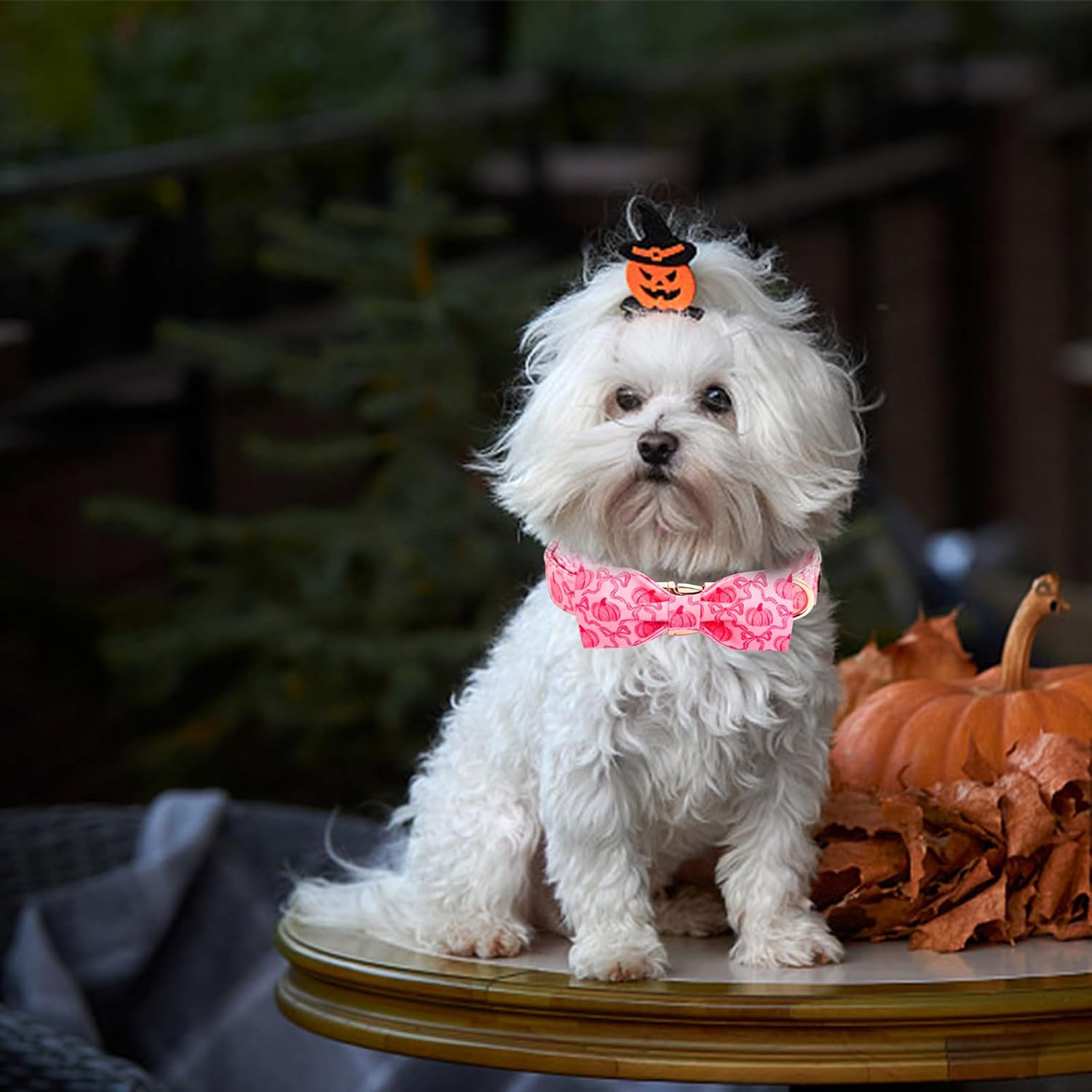 Dog Collar, Pink Pumpkin Print Adjustable Pet Collar Cute Cotton Soft Collars with Bow Tie Fall Metal Buckle Holiday Puppy Collars Boy&Girl Gift for Large Dogs image 5