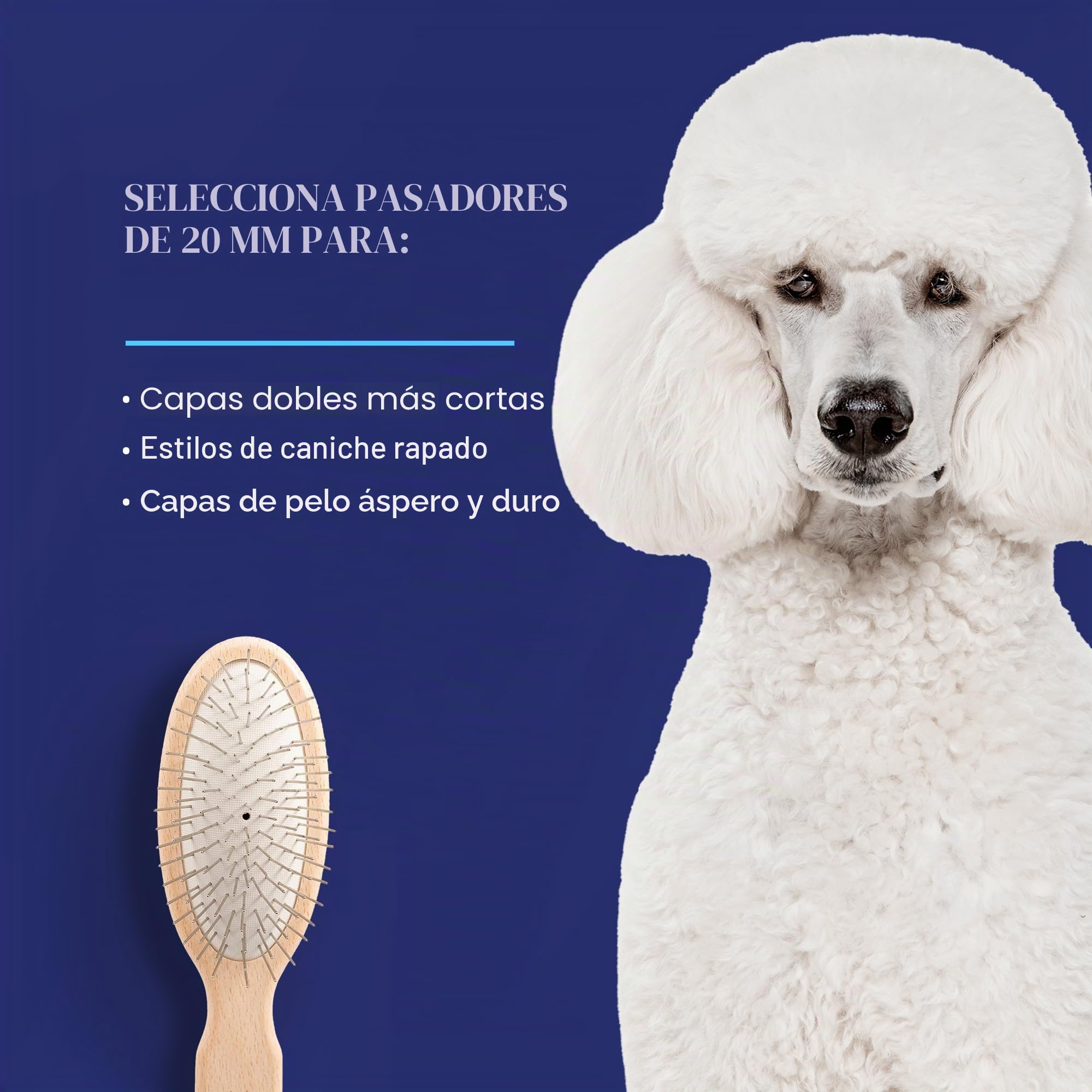 Chris Christensen Cepillo para Perro, Cepillo Ovalado de 20 mm, Serie Original, Groom Like a Professional, pasadores de Acero Inoxidable, Cuerpo de Madera de Haya Ligera, Puntas pulidas y pulidas