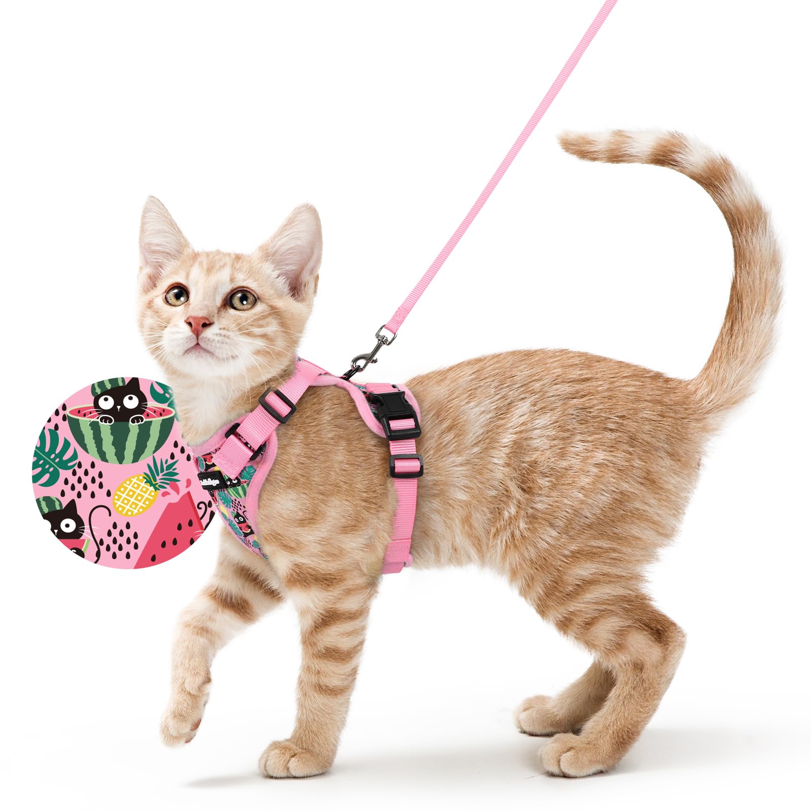 rabbitgoo Cat Harness and Leash Set, Escape Proof Vest, Melon Munch