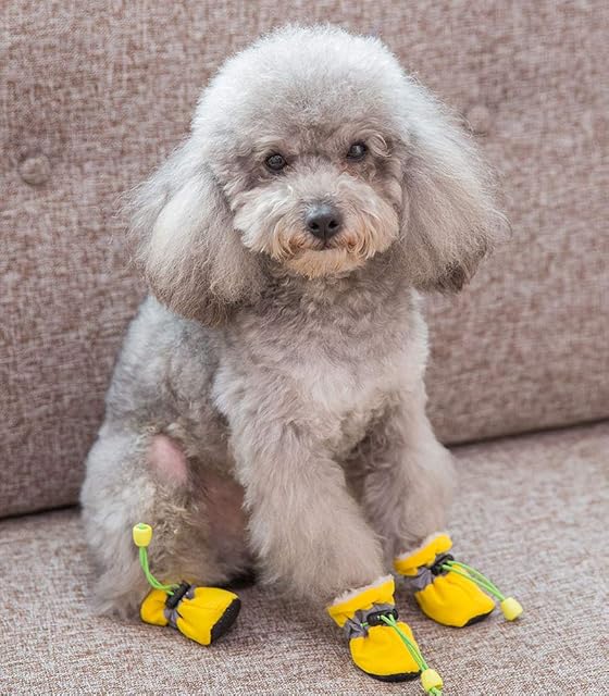 Foto 5 de 8 de OMEM Botas de Lluvia Impermeables para Cachorros, Juego de 4 Botas para Mascotas