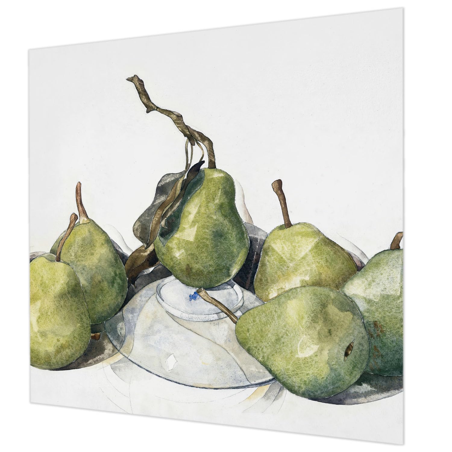 Papier peint intissé facile à nettoyer 250x250 cm motif poires aquarelle