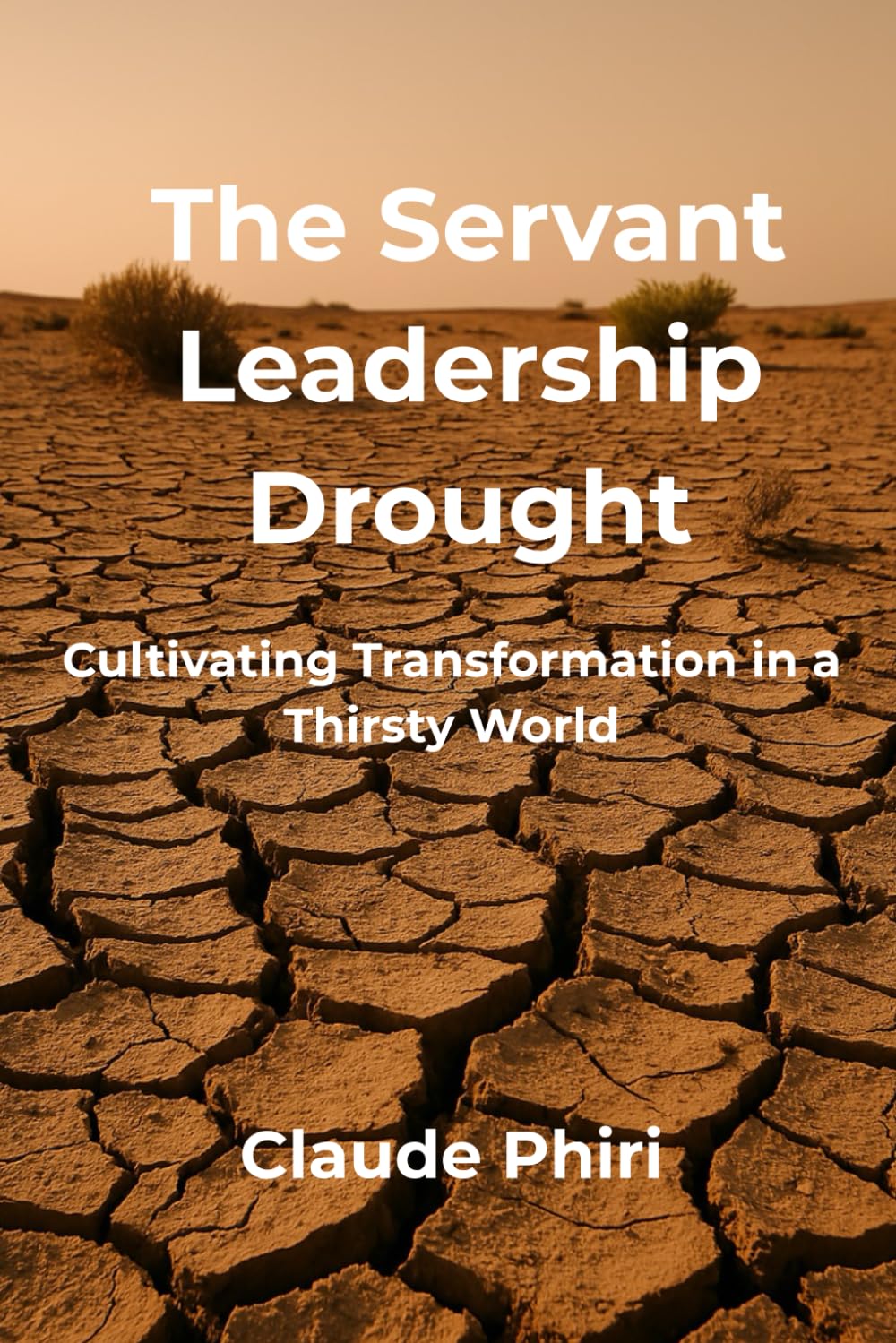 The Servant Leadership Drought: Cultivating Transformation in a Thirsty World