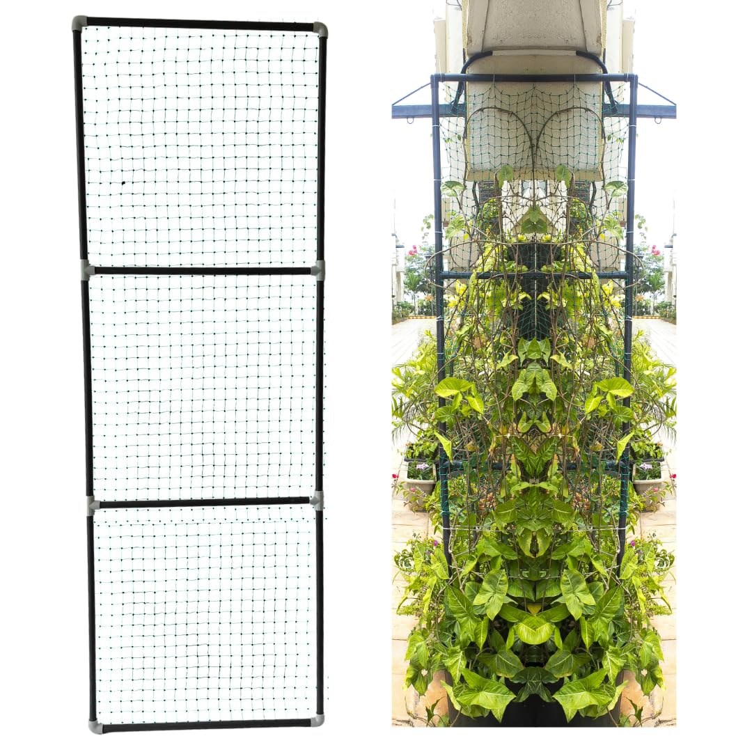 Trelliskart 6 by 2 Net Ladder Plant Climbing Net & Creeper Support for Agriculture & Gardening Net Wire Lattices for Rose, Grapes Clematis, for Indoor & Outdoor Garden Rack - Pack of 2, Black (B0DHS1WW6B) Amazon Price History, Amazon Price Tracker