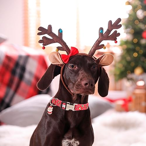 Miniatura 3 de ADOGGYG - Collar de perro suave y ajustable, varios patrones lindos florales, festivales, vacaciones, collares para mascotas pequeños, medianos y