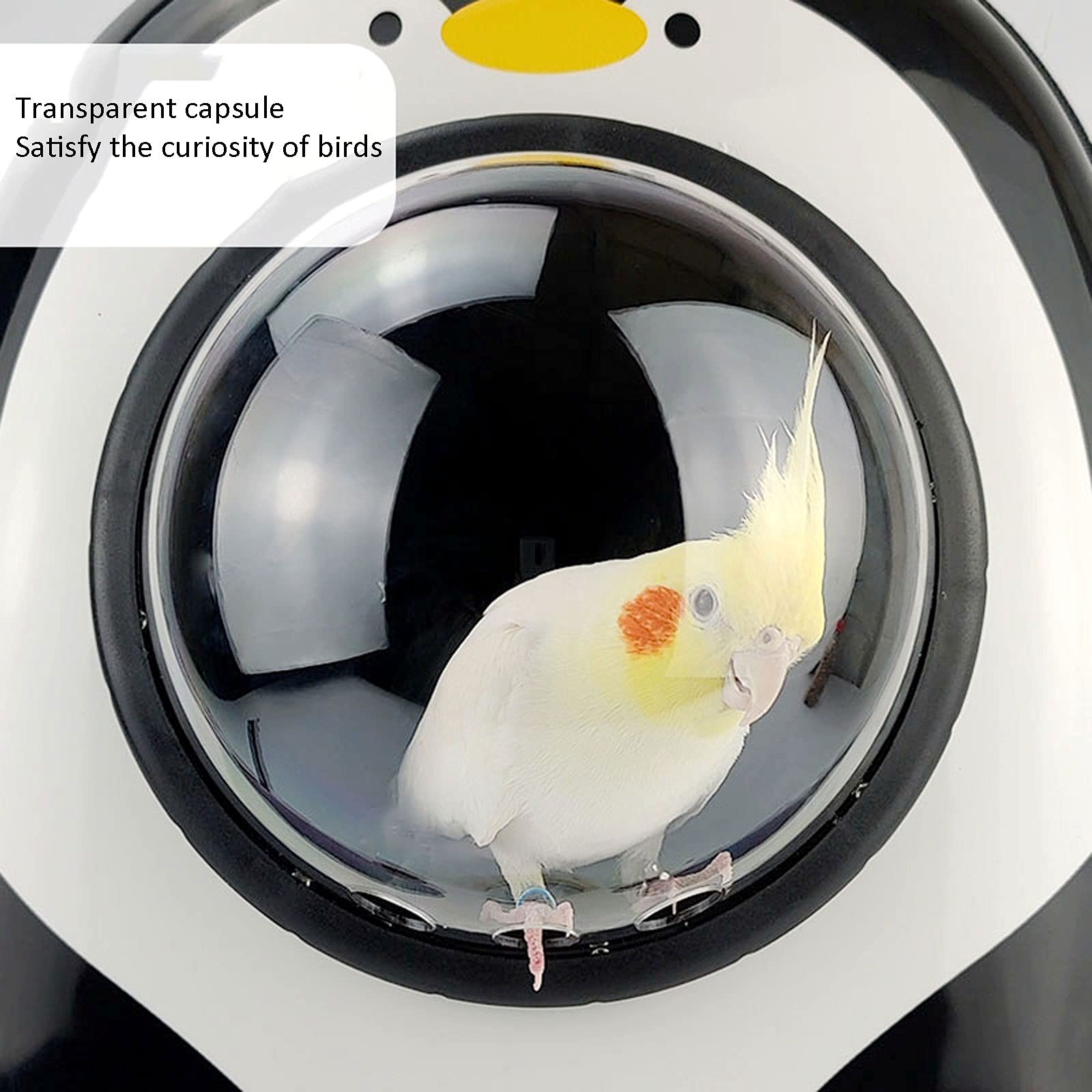 Zaino per animali domestici con ruote, design a capsula spaziale, finestra panoramica trasparente, resistente e confortevole per gatti, ideale per viaggi e avventure
