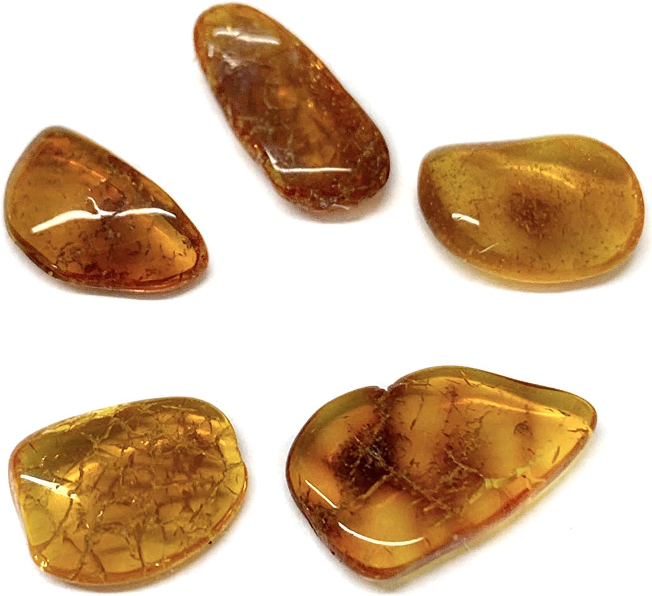 Natural Baltic Amber stones Set of 5