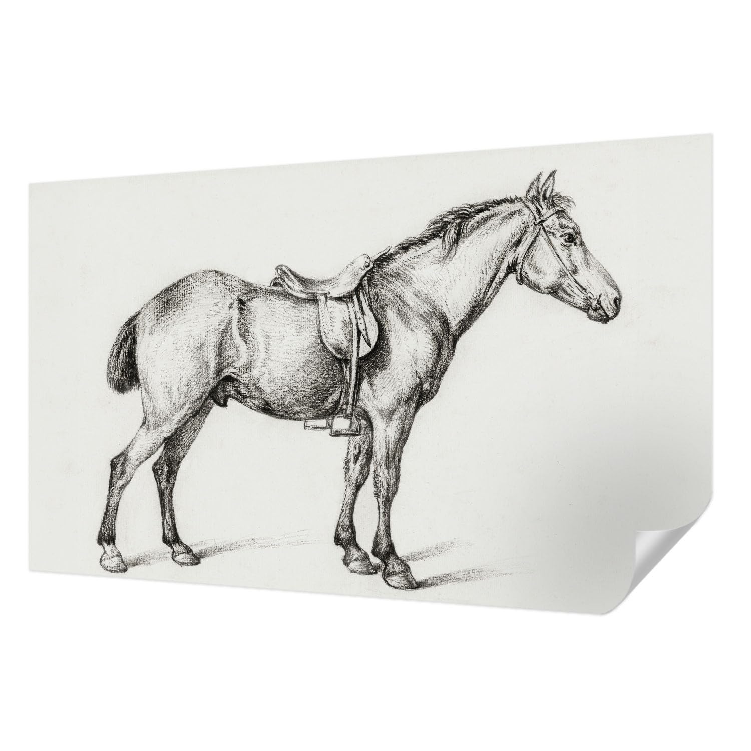 Papier peint panoramique haute qualité croquis de cheval adhésif 416x254 cm