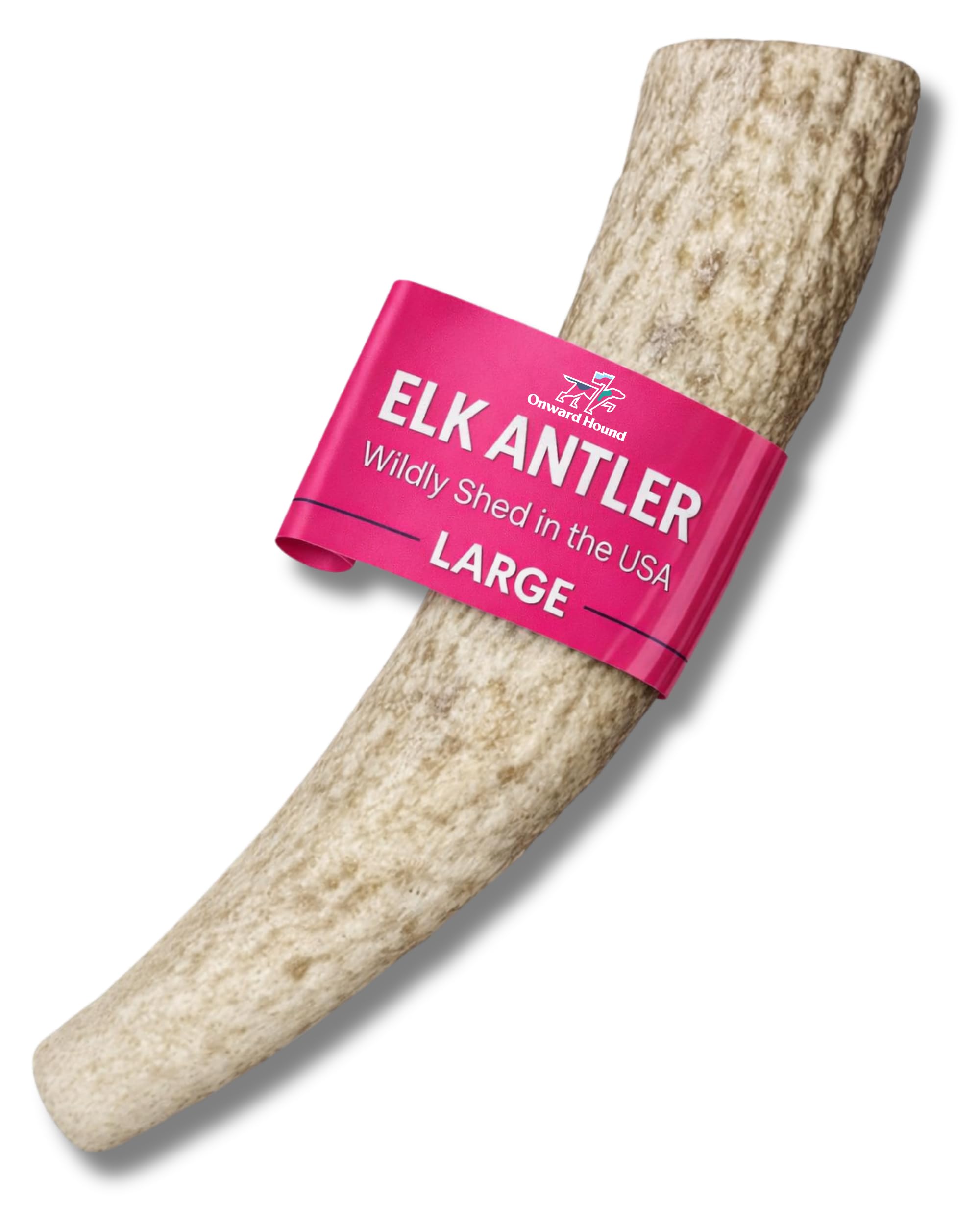 Onward Hound Whole Large Elk Antler for Dogs