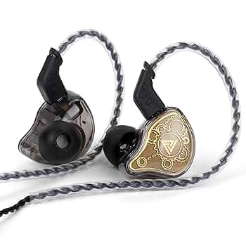 イヤホン Hilcrhyme 10 anniversary limited model Victor JVC Ha-fw10000 Wood Series 10th Anniversary Model