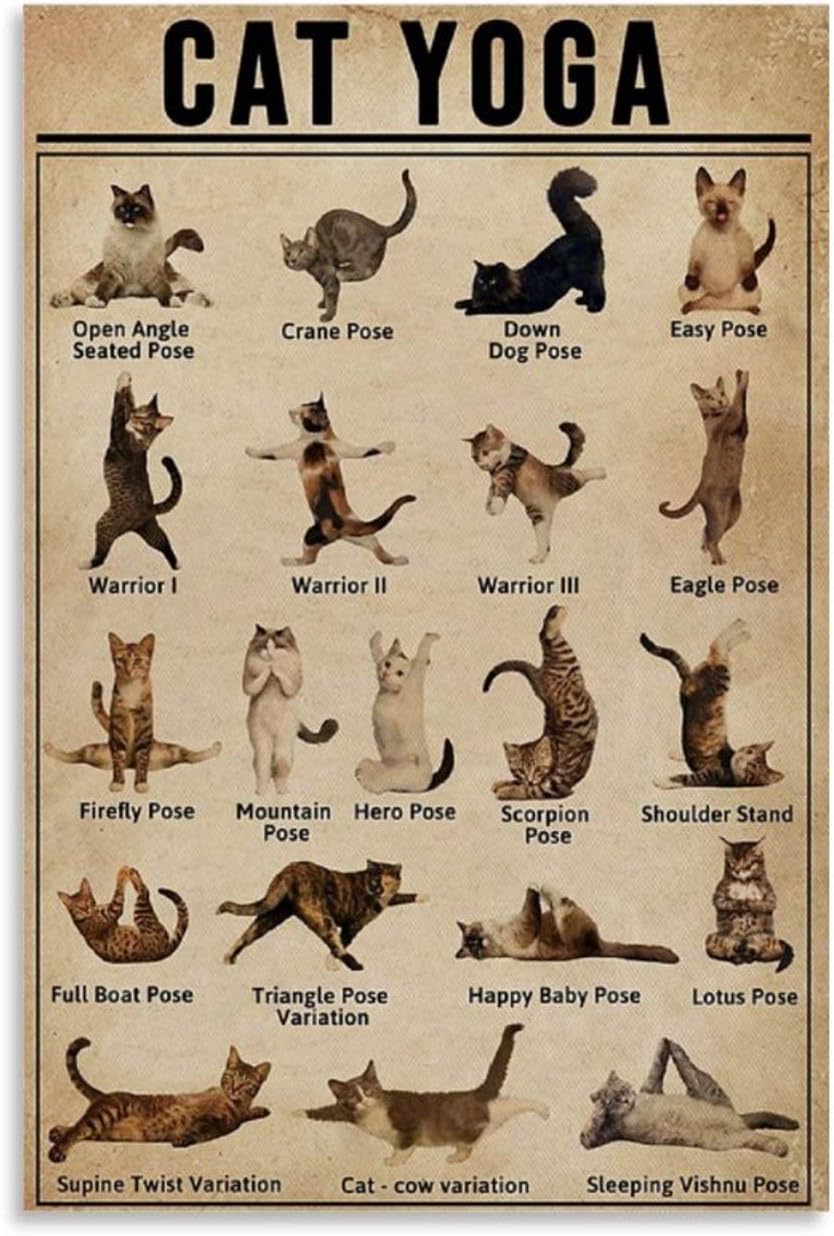 xingyao Cats Poster Cat Yoga Canvas Art Poster and Wall Art Picture Print Modern Family bedroom Decor Posters 16x24inch(40x60cm)