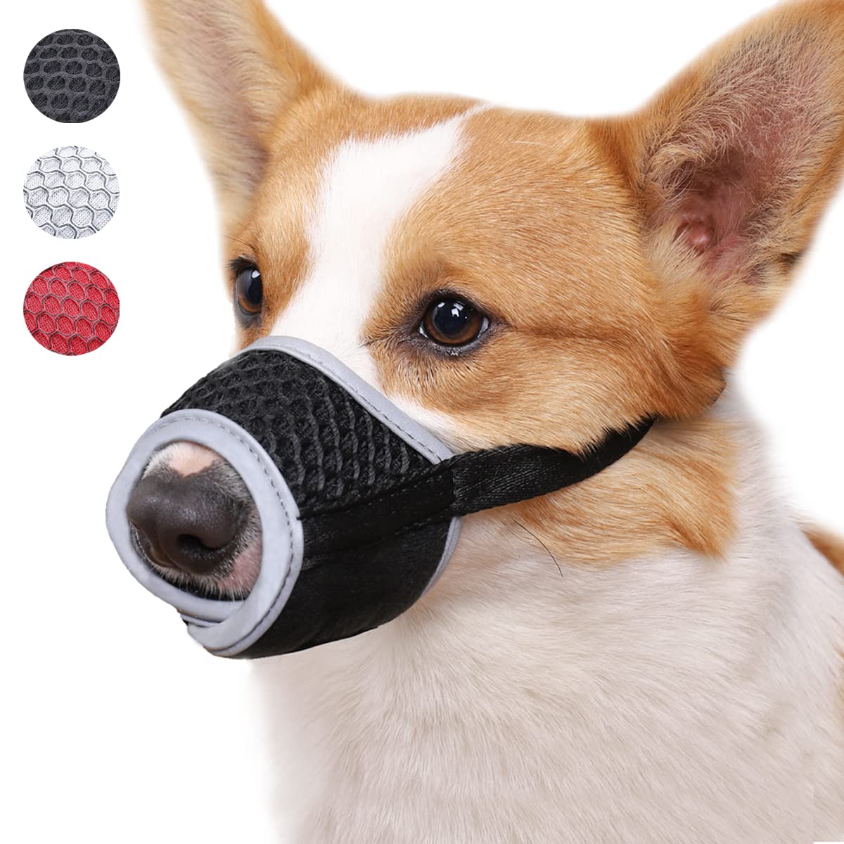 good source of vitamin b for dogs