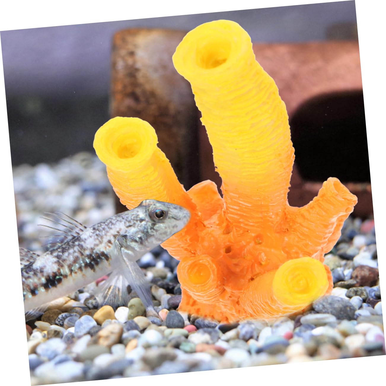 OUNONA 5 Ensembles Décorations Artificielles pour Aquarium Artificiel Accessoires pour Aquarium Fournitures pour Enfants Résine 3 pièces * 5