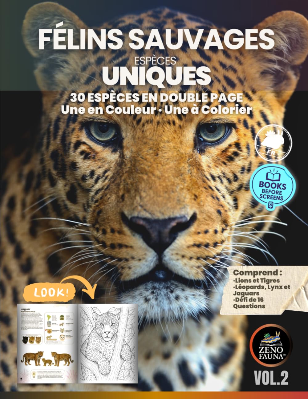 FÉLINS SAUVAGES – ESPÈCES UNIQUES: Livre éducatif illustré avec 30 espèces Double page par félin : une en couleur, une à colorier Pour enfants, adolescents et familles curieuses