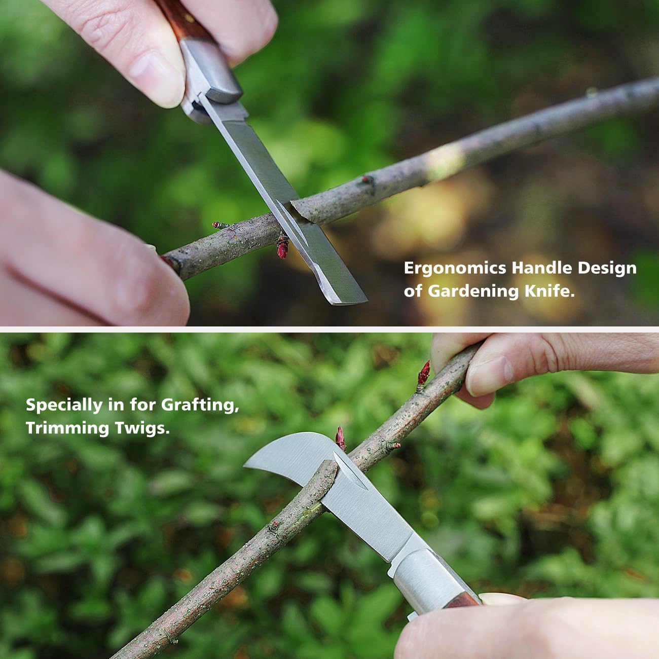 FUJIWARA 3-in-1 Garden Grafting Tool, Pruning Scissors Kit, U/V/Omega-Graft Seedling for Fruit Tree Grafting Set,Including 2X Tapes, Plant Tags,Plant Clips,Grafting Knife & Replacement Blades