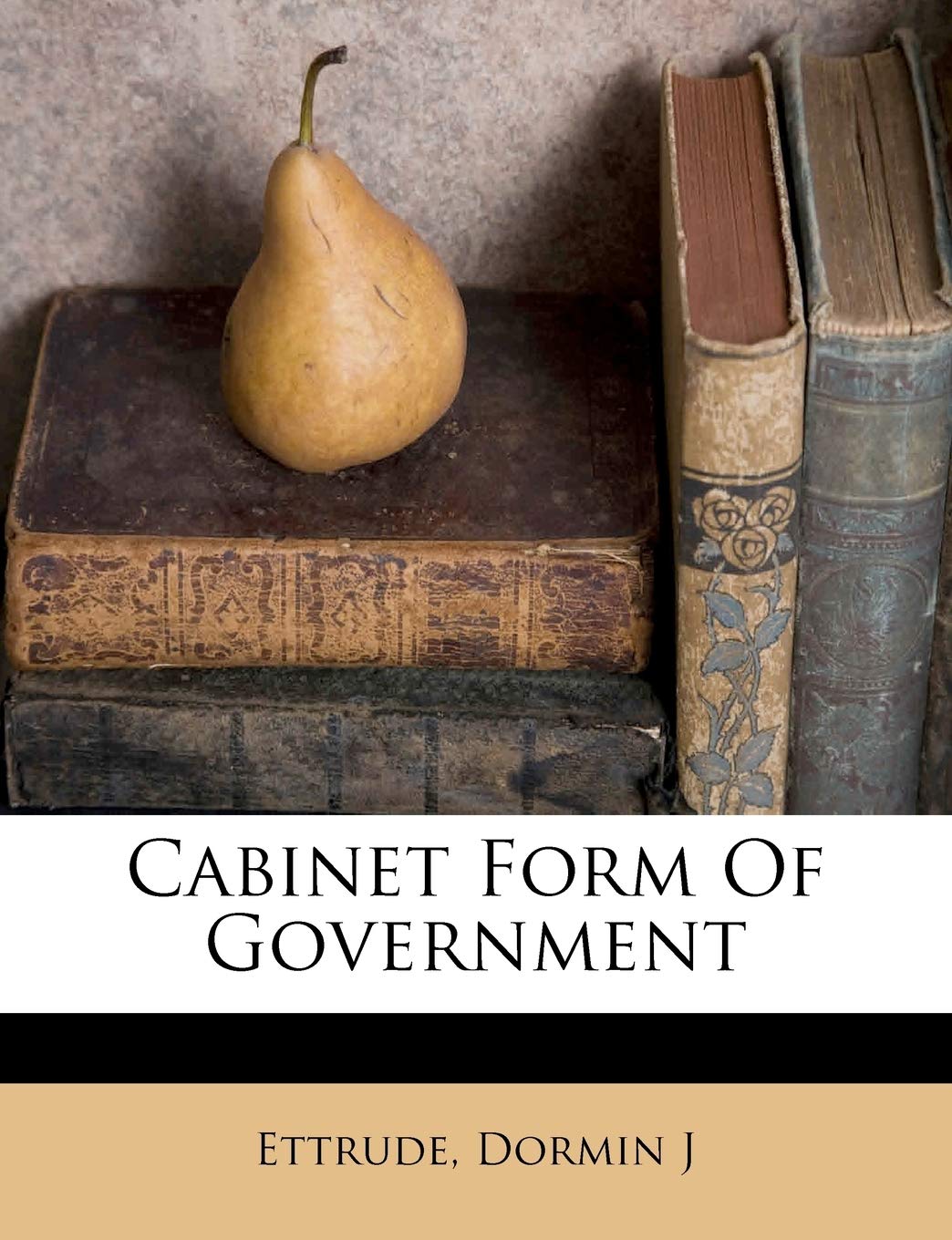 Cabinet Form of Government