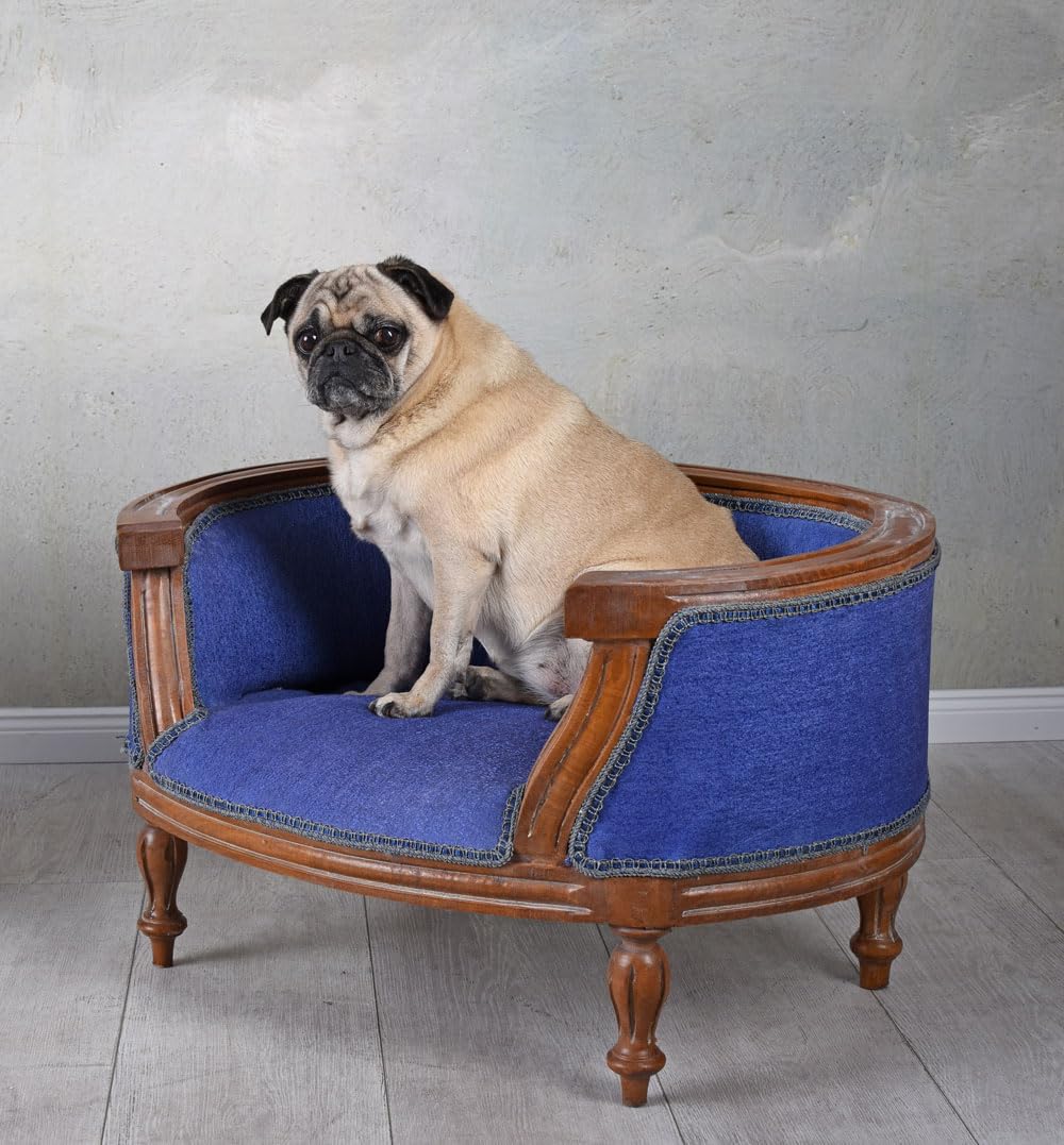 Palazzo - Cama para Mascotas, Cama para perros de madera estilo barroco, color azul, cat700g54