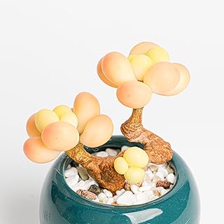 Galagaga Handcrafted Artificial Succulent Plant with Peach Fruit Clusters in Navy Ceramic Pot, Clay Art Decor for Home Office (1, shape1)