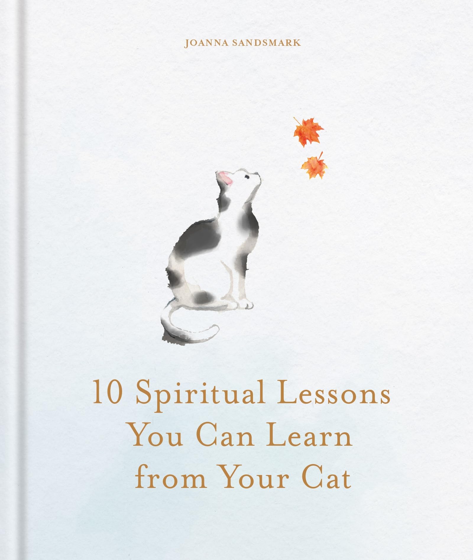 10 Spiritual Lessons You Can Learn from Your Cat: Essential Life Lessons We Can Learn From Our Furry Friend