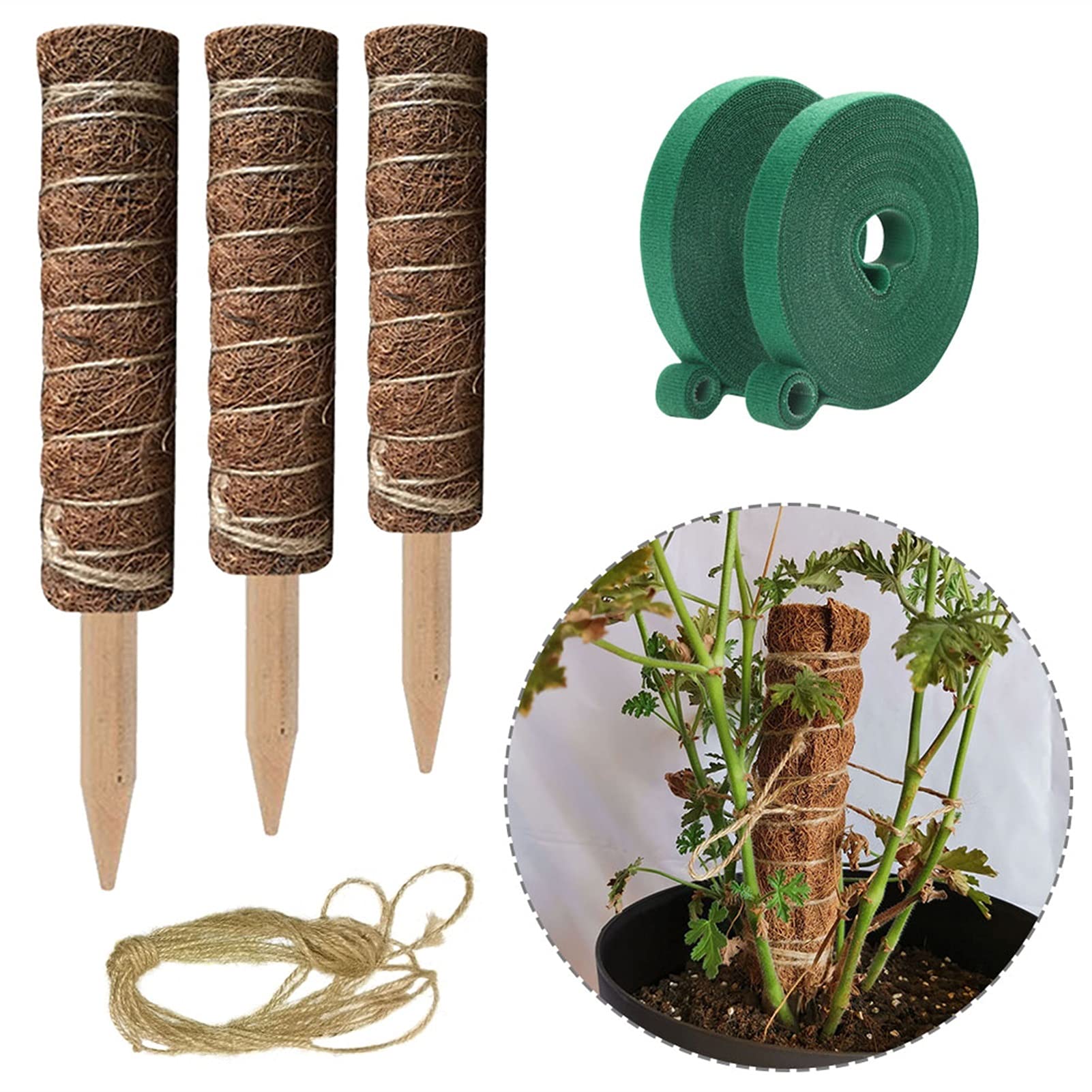 Saturey Tuteur Plante 2pack Pole Support TRULIS PIETEUR DE Plante D'ÉLIMINATION Moss ROYANCE Fibre Coconut Fibre Maison Jardinage Cadre de Balcon Support pour Plantes De Jardin (Size : 35cm)