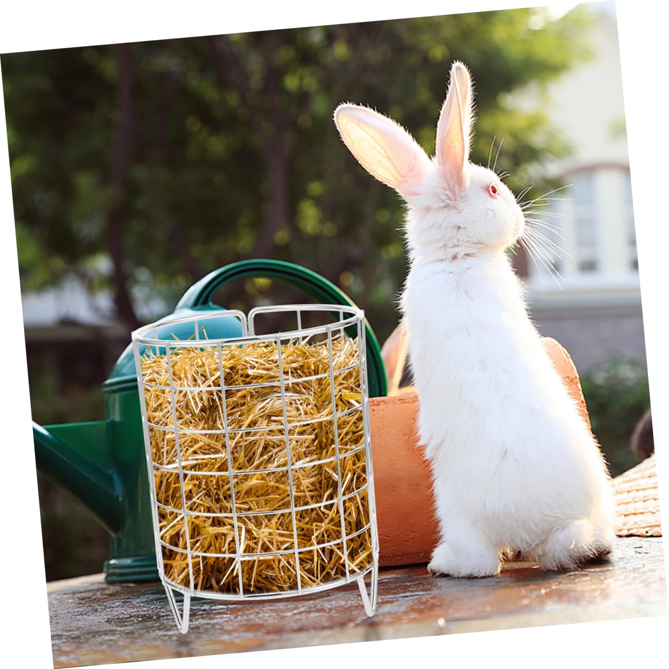VANZACK 4 Pz Rastrelliera Per Fieno Di Coniglio Cavia Mangiatoia Per Fieno Per Criceti Accessori Per Gabbie Per Porcellini D'india Porta Fieno Di Cincillà Porcellino D'india Ferro Battuto