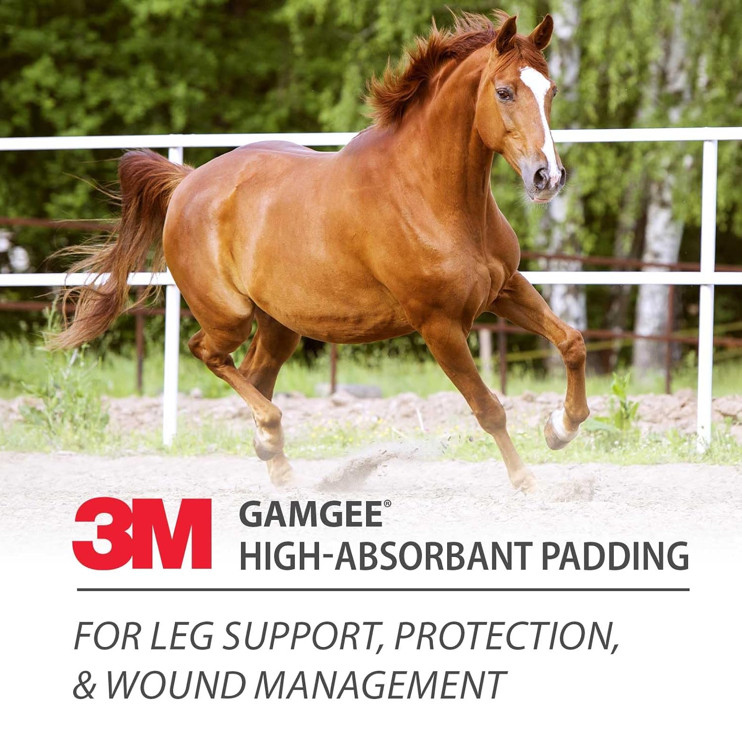 3M Gamgee12x11.5 Absor Pad