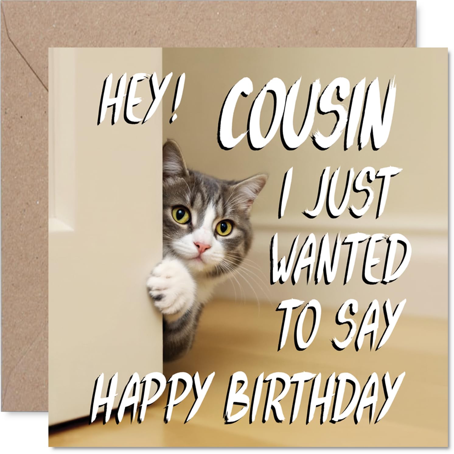 Cousin Birthday Card - Cute Cat Peekaboo - Happy Birthday Card for Cousin from Family Relative, 145mm Lovable Kitty Bday Greeting Cards