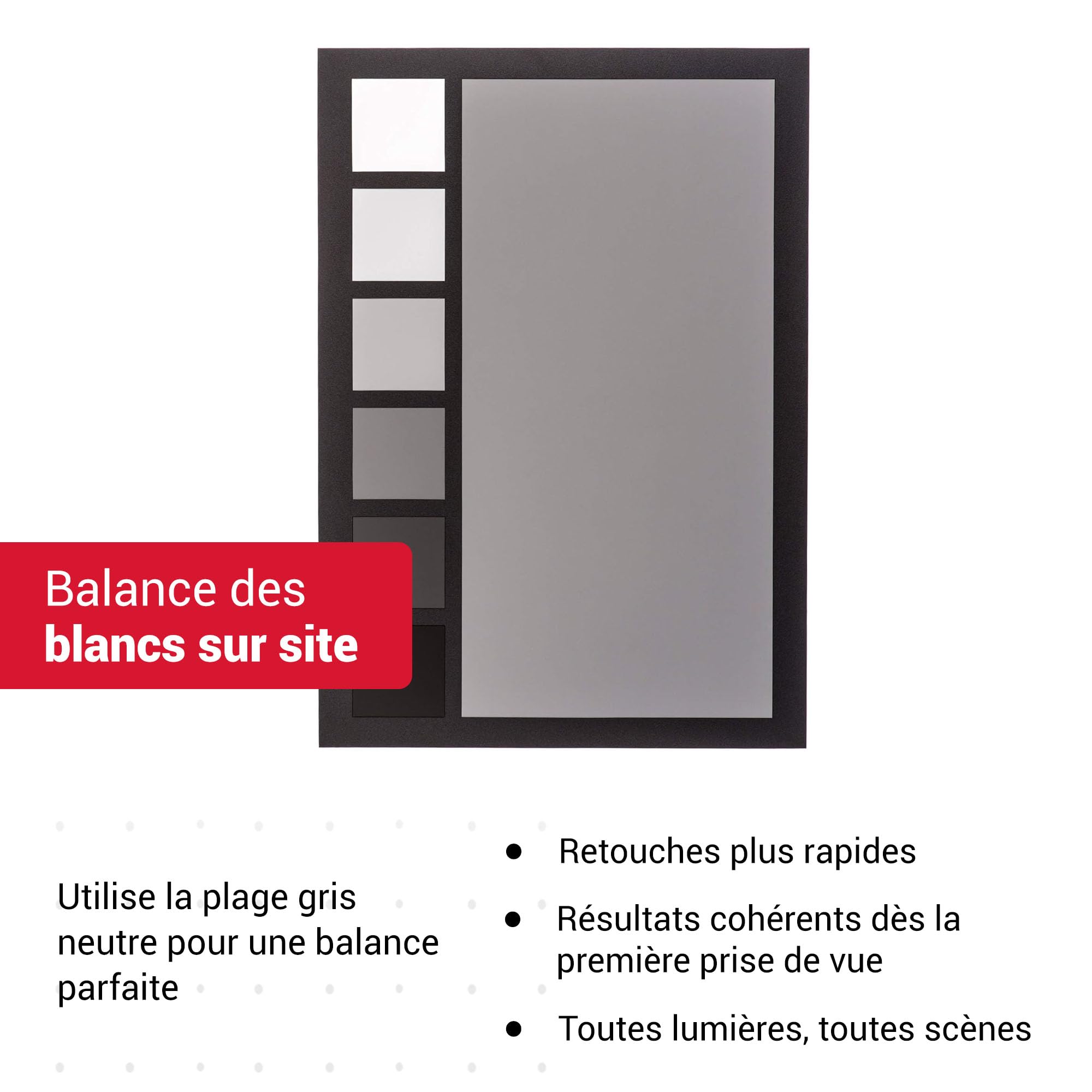Datacolor SpyderCheckr24 - Carte couleur pour le calibrage des caméras avec 24 patchs couleur, Noir