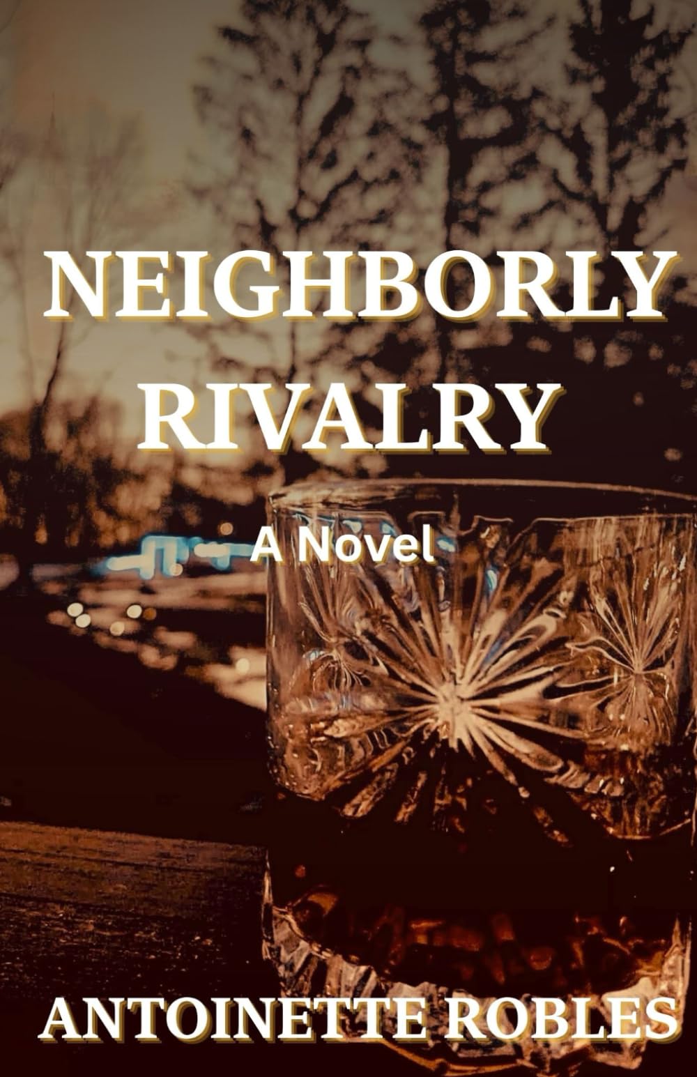NEIGHBORLY RIVALRY: A Novel (Neighbors Series)