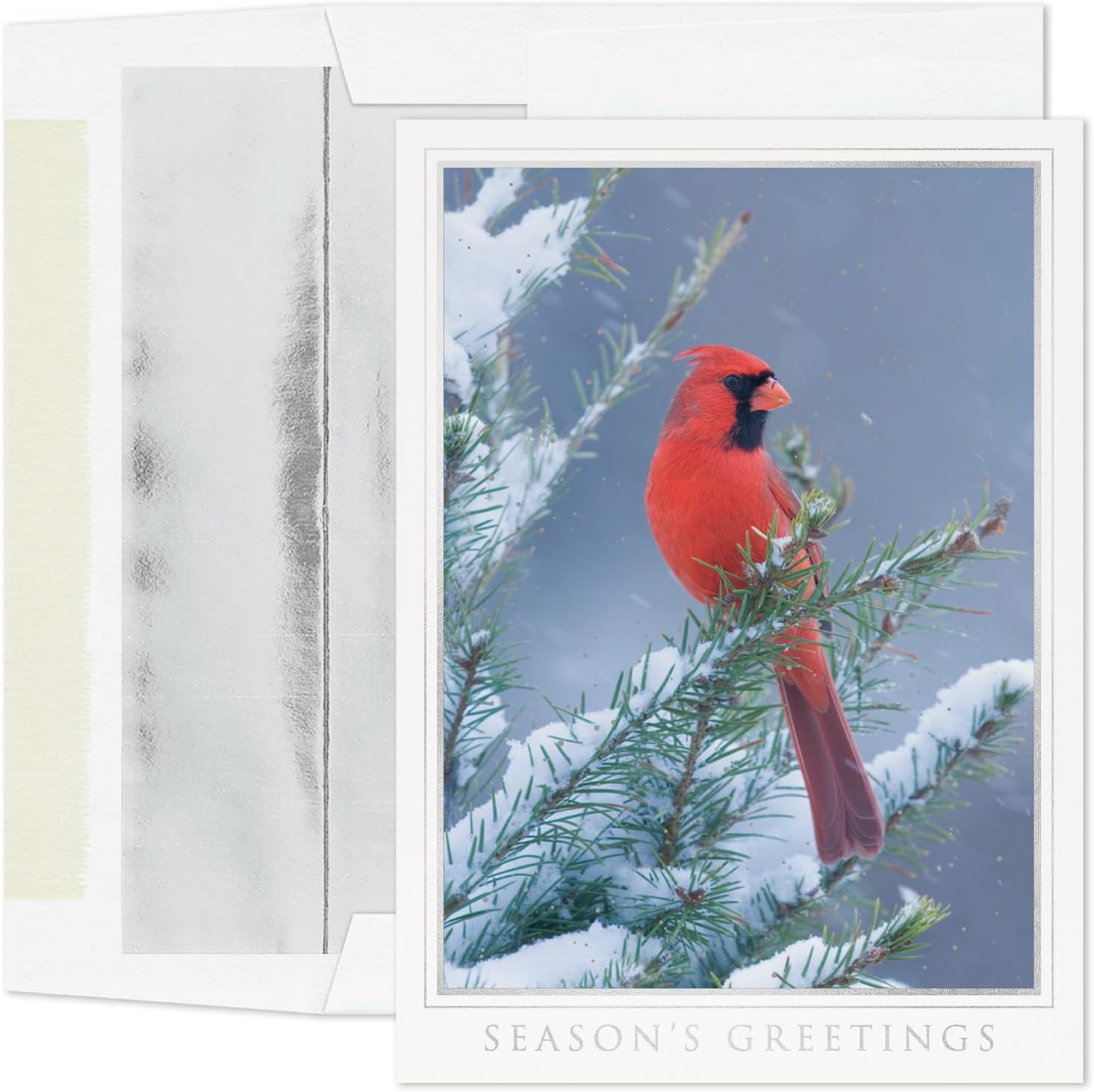 Masterpiece Studios Holiday Collection Classic Cards 16 Cards/Envelopes, Winter Friends, 5.6" x 7.8"