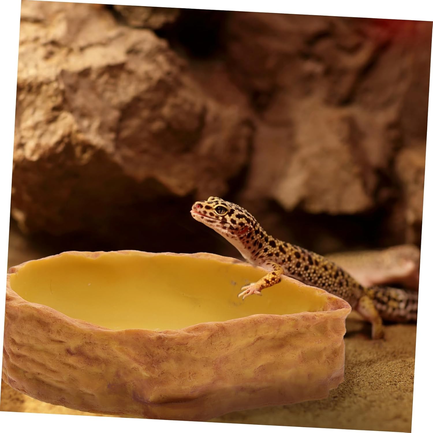 BESPORTBLE Resin Tortoise Water Bowl Crawling PET Feeding Basin Realistic for Reptile Bathing and Drinking Deep Water Dish for Lizards and Snakes Sturdy Terrarium Accessory